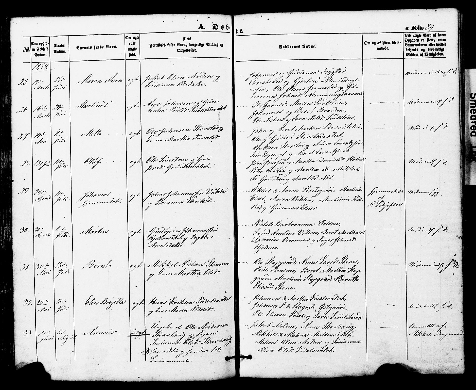 Ministerialprotokoller, klokkerbøker og fødselsregistre - Nord-Trøndelag, AV/SAT-A-1458/724/L0268: Parish register (copy) no. 724C04, 1846-1878, p. 89