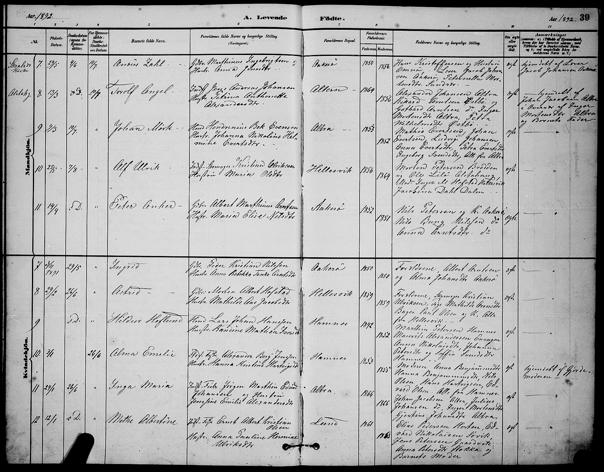 Ministerialprotokoller, klokkerbøker og fødselsregistre - Nordland, AV/SAT-A-1459/830/L0462: Parish register (copy) no. 830C04, 1882-1895, p. 39