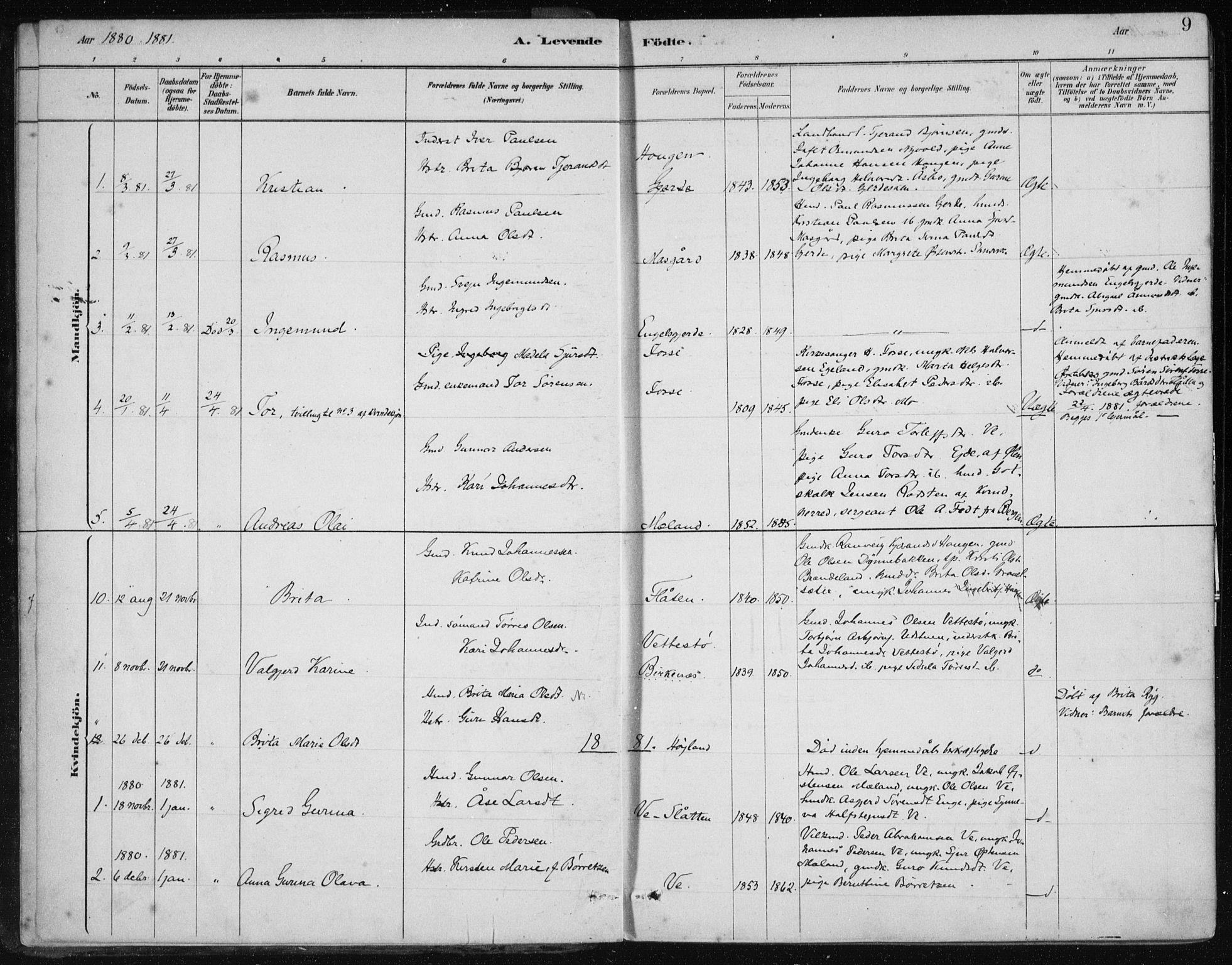 Etne sokneprestembete, SAB/A-75001/H/Haa: Parish register (official) no. C  1, 1879-1919, p. 9