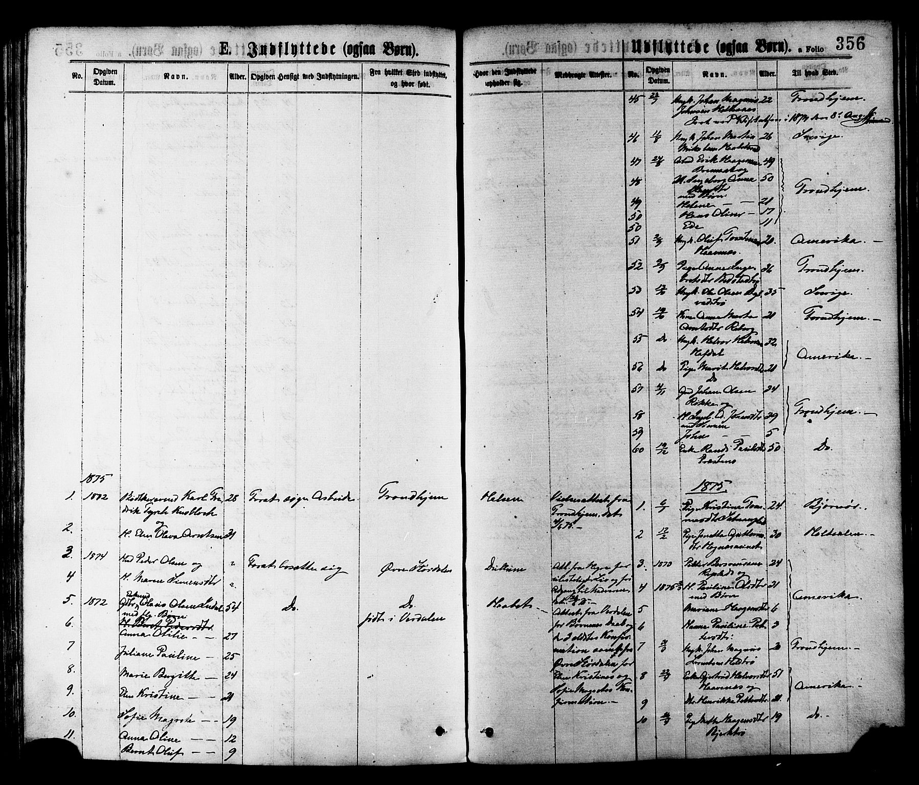Ministerialprotokoller, klokkerbøker og fødselsregistre - Nord-Trøndelag, SAT/A-1458/709/L0076: Parish register (official) no. 709A16, 1871-1879, p. 356