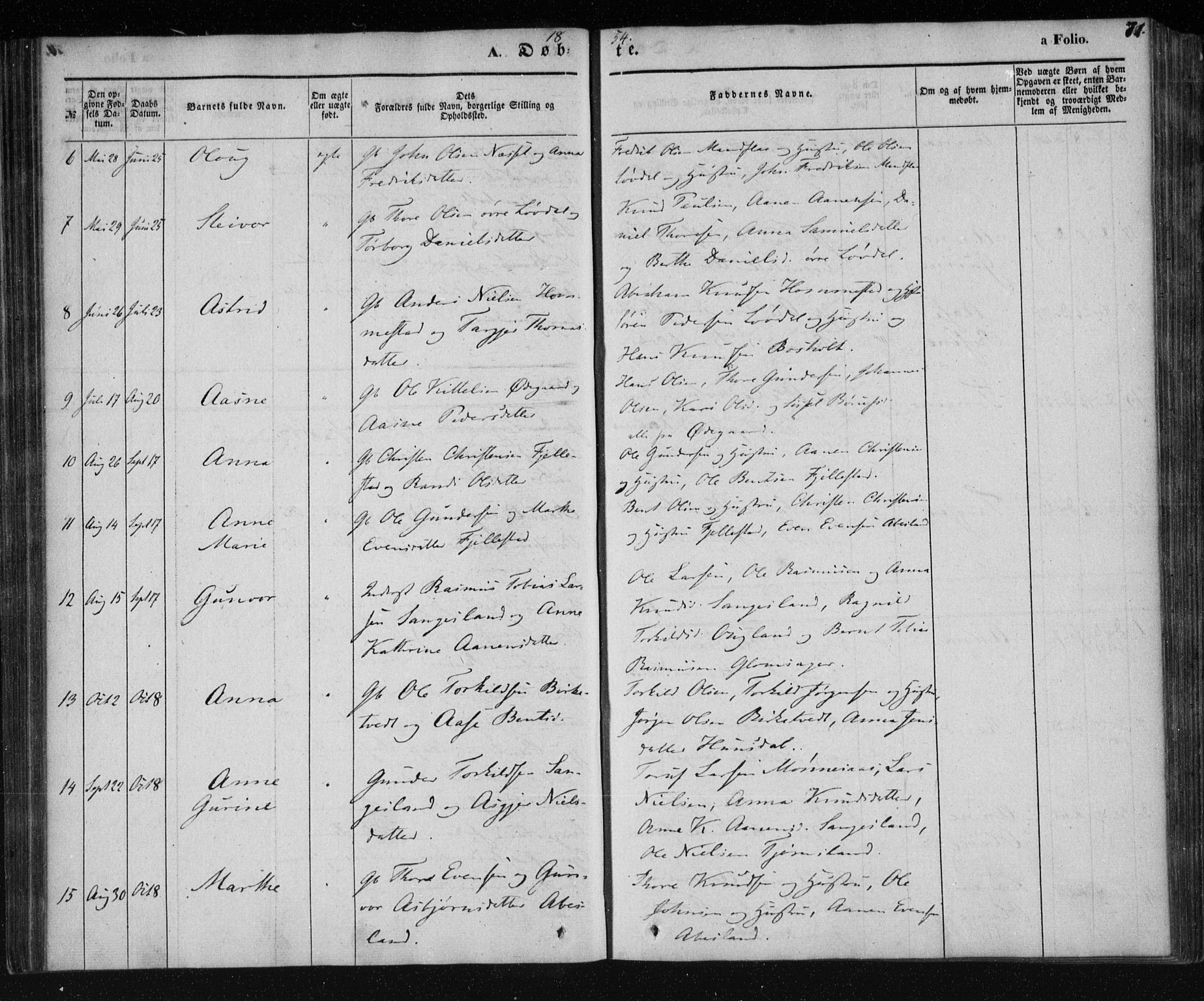 Holum sokneprestkontor, AV/SAK-1111-0022/F/Fa/Fab/L0005: Parish register (official) no. A 5, 1847-1874, p. 71