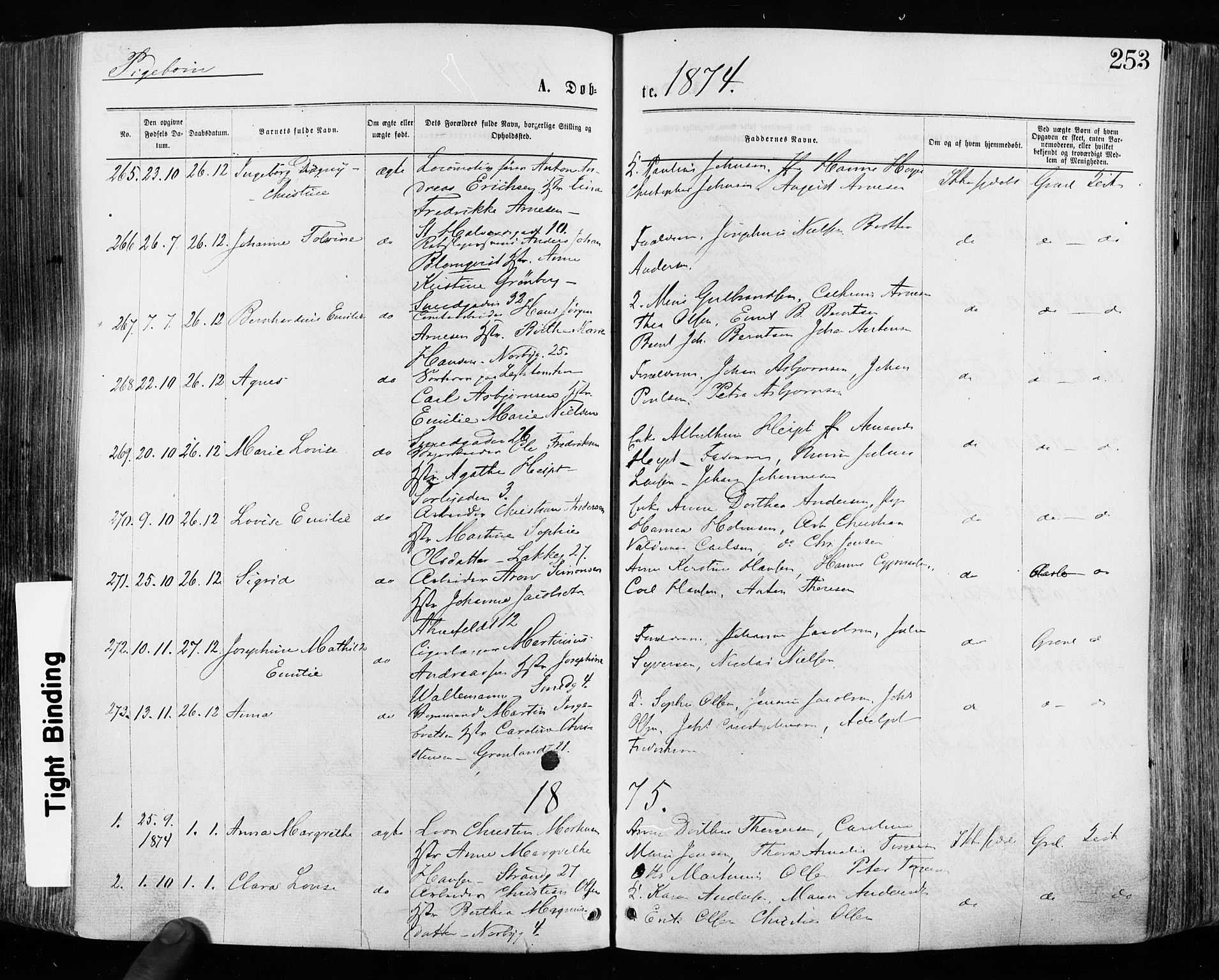 Grønland prestekontor Kirkebøker, SAO/A-10848/F/Fa/L0004: Parish register (official) no. 4, 1869-1880, p. 253