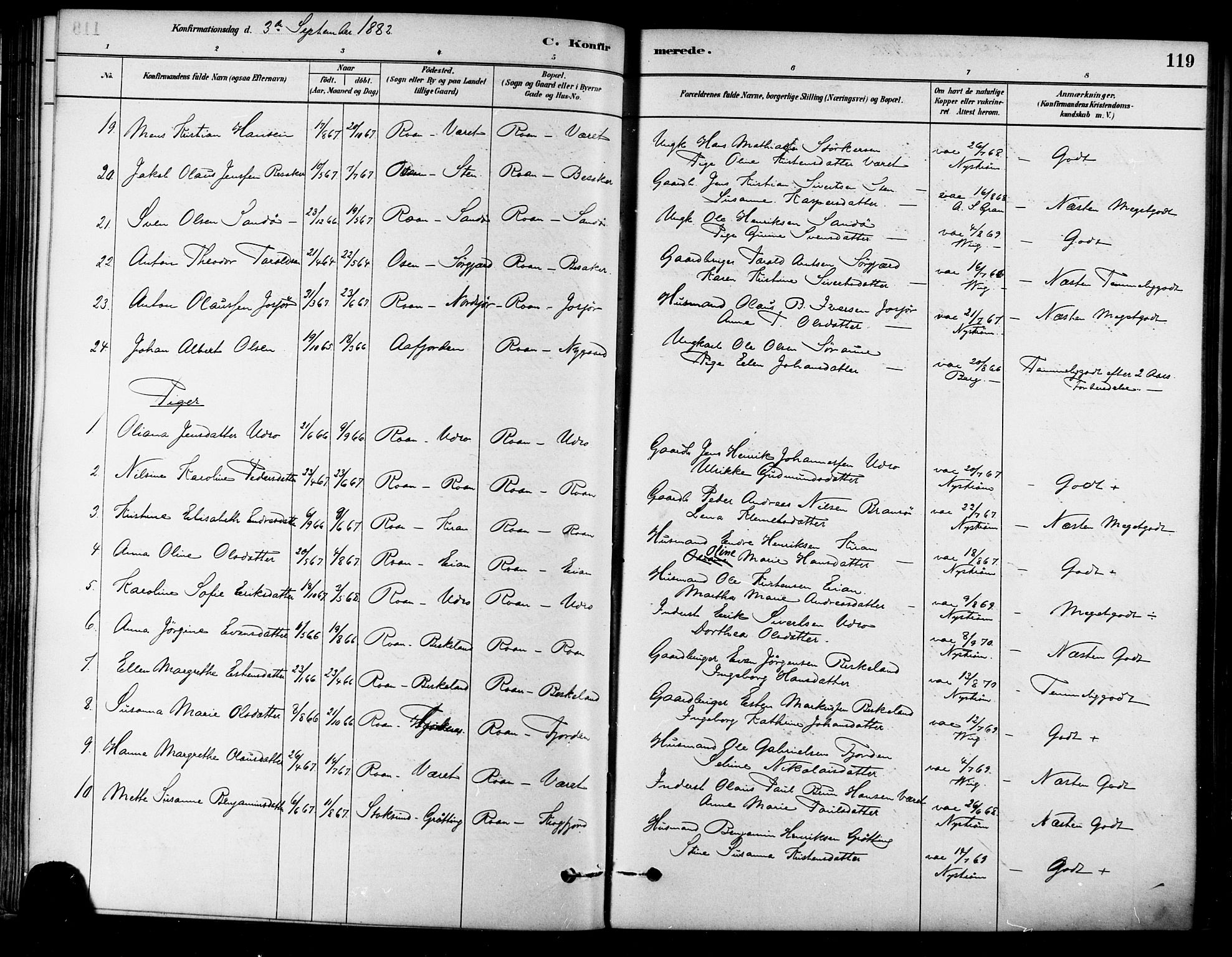 Ministerialprotokoller, klokkerbøker og fødselsregistre - Sør-Trøndelag, AV/SAT-A-1456/657/L0707: Parish register (official) no. 657A08, 1879-1893, p. 119