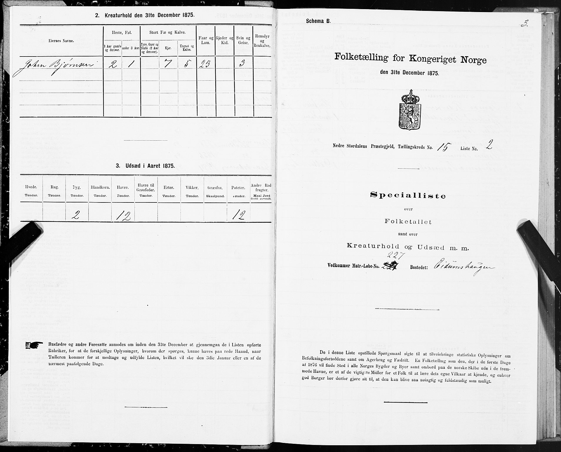 SAT, 1875 census for 1714P Nedre Stjørdal, 1875, p. 8003