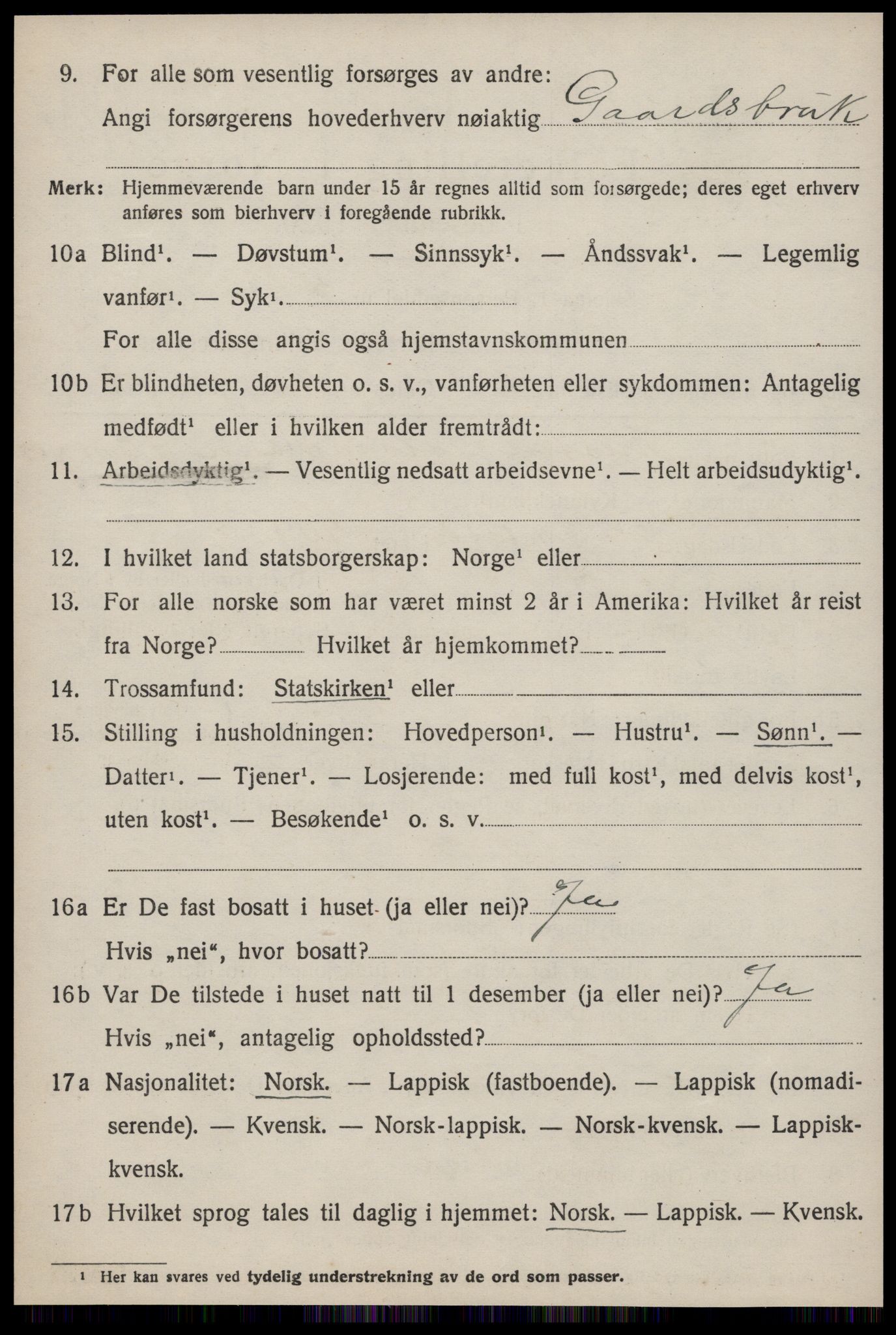 SAT, 1920 census for Røros, 1920, p. 9677