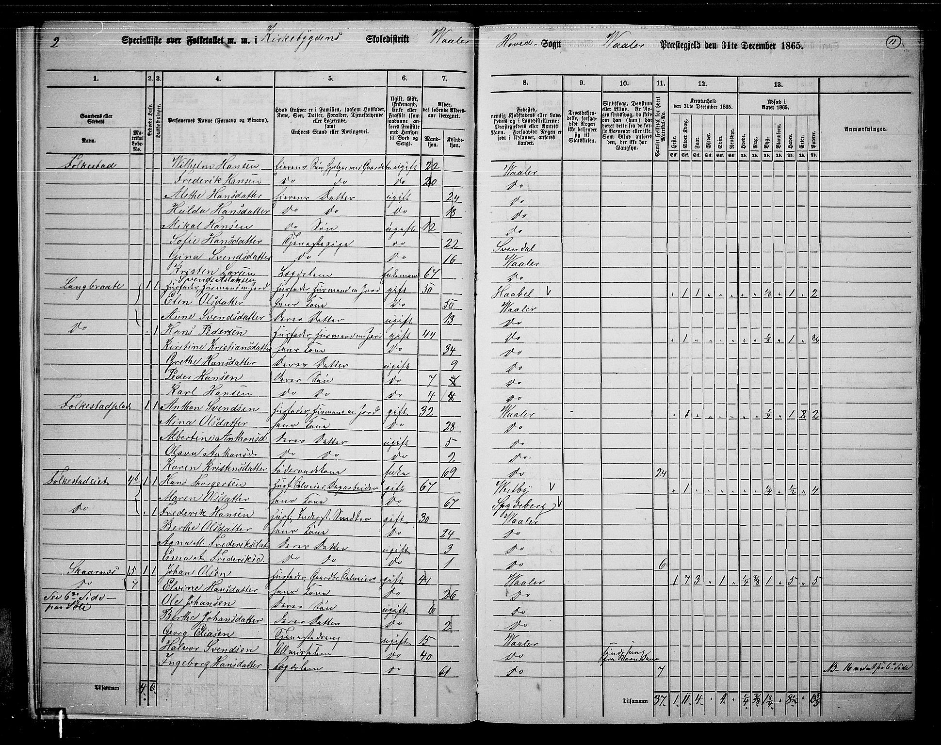 RA, 1865 census for Våler, 1865, p. 12