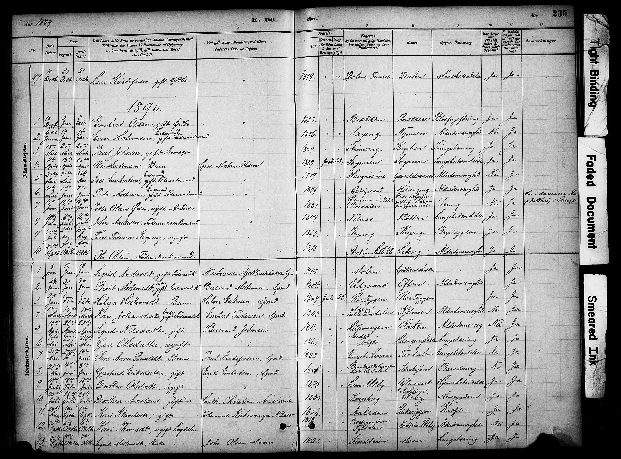 Tynset prestekontor, SAH/PREST-058/H/Ha/Hab/L0006: Parish register (copy) no. 6, 1880-1899, p. 235