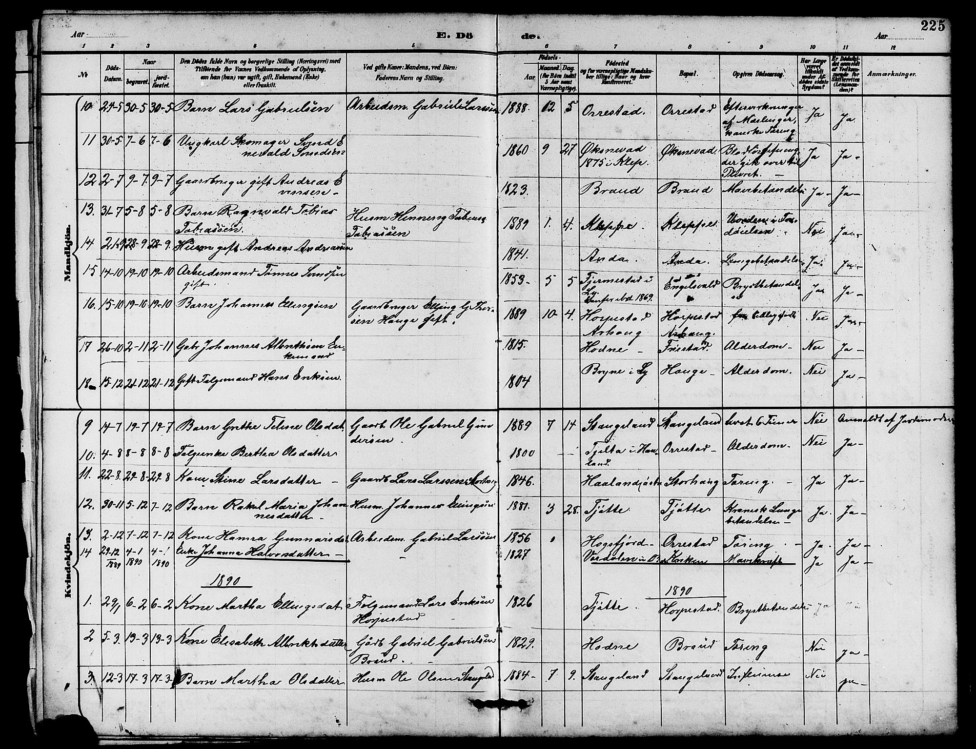 Klepp sokneprestkontor, SAST/A-101803/001/3/30BB/L0004: Parish register (copy) no. B 4, 1889-1914, p. 225