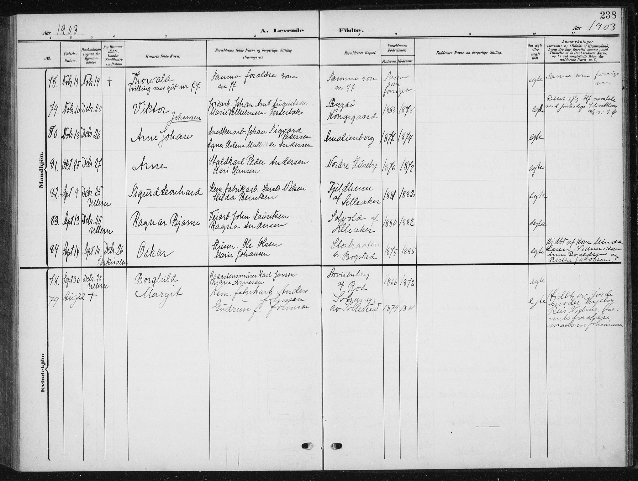 Vestre Aker prestekontor Kirkebøker, SAO/A-10025/F/Fb/L0001: Parish register (official) no. II 1, 1880-1906, p. 238