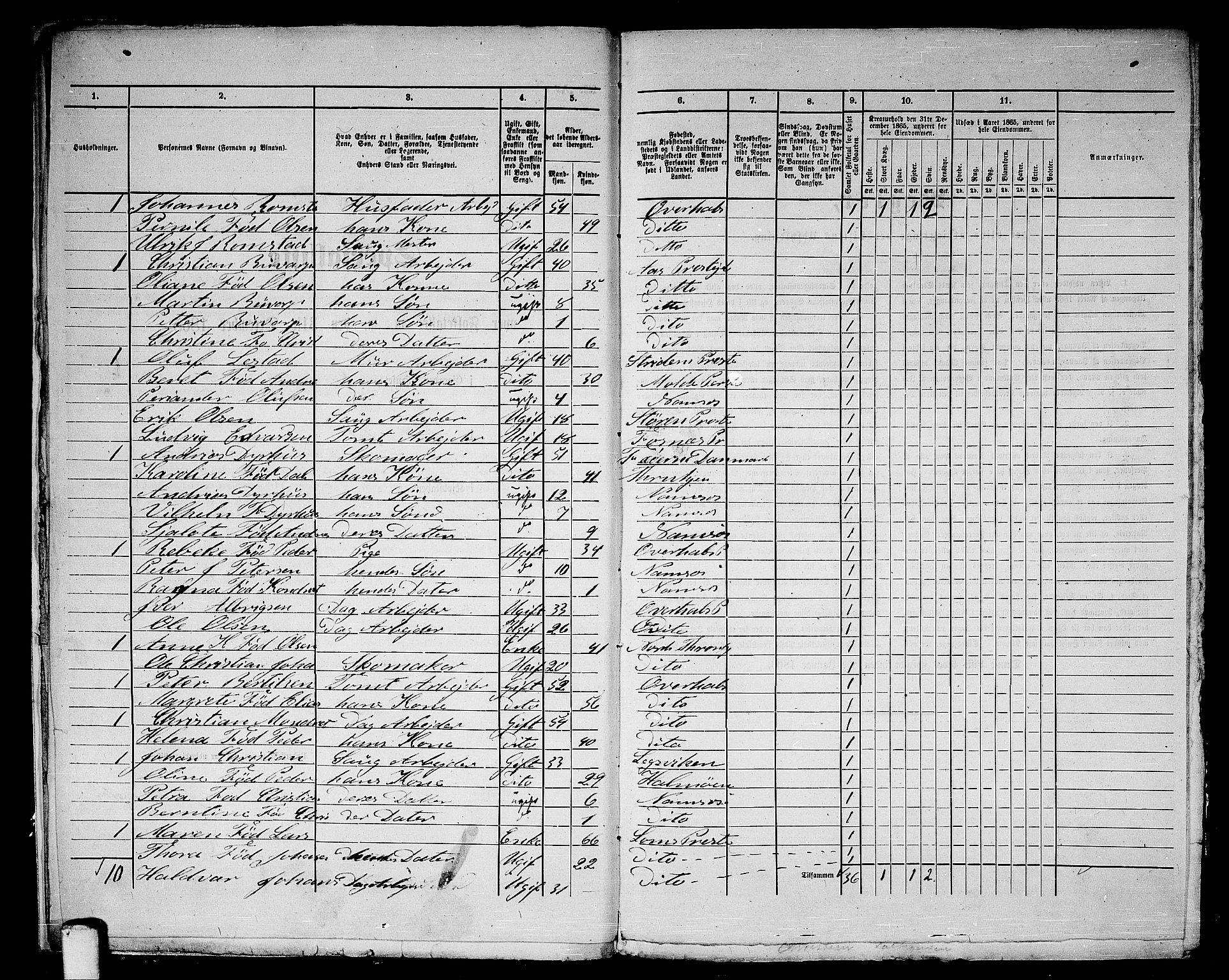 RA, 1865 census for Namsos/Namsos, 1865, p. 11