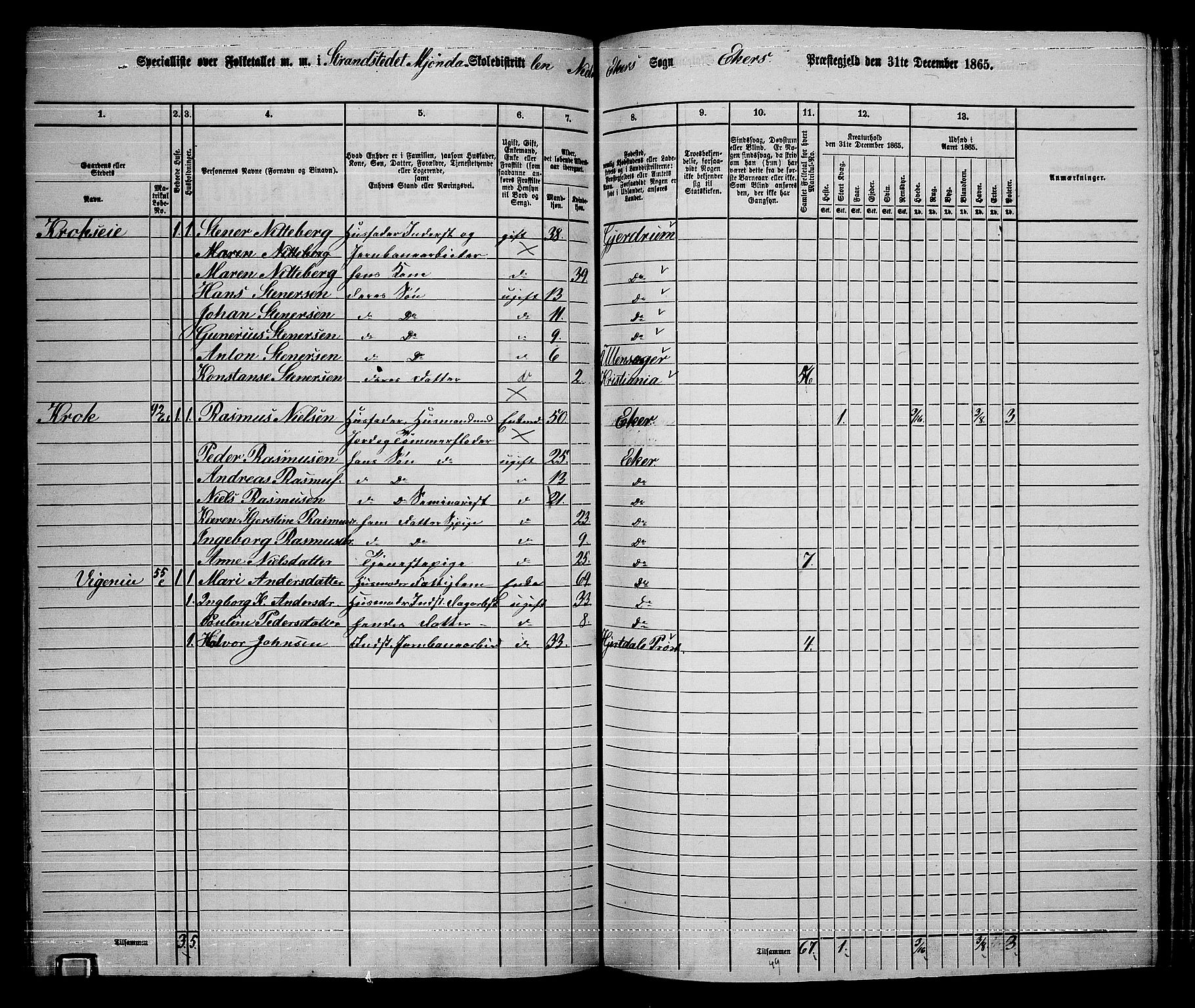 RA, 1865 census for Eiker, 1865, p. 412