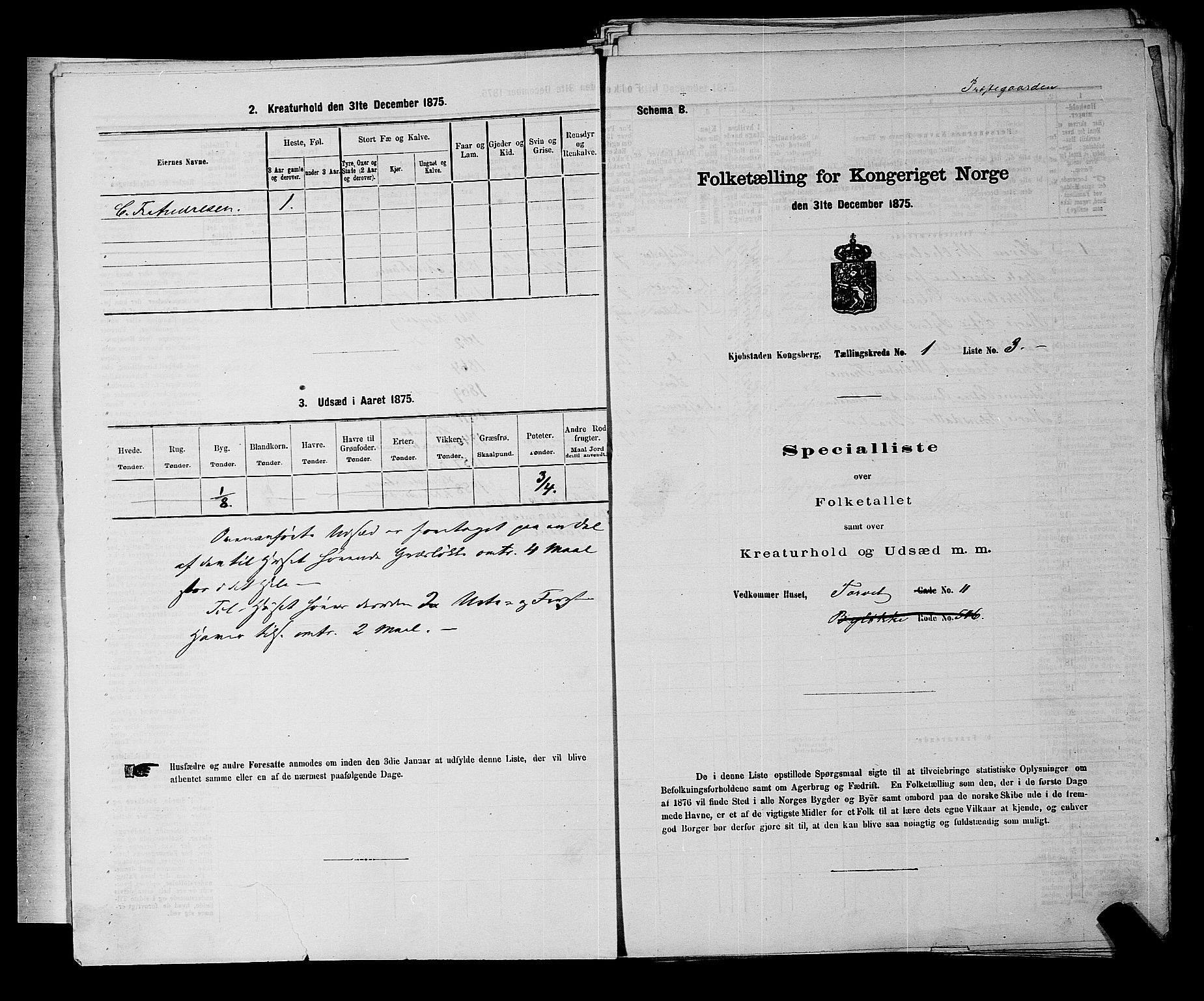 SAKO, 1875 census for 0604B Kongsberg/Kongsberg, 1875, p. 42