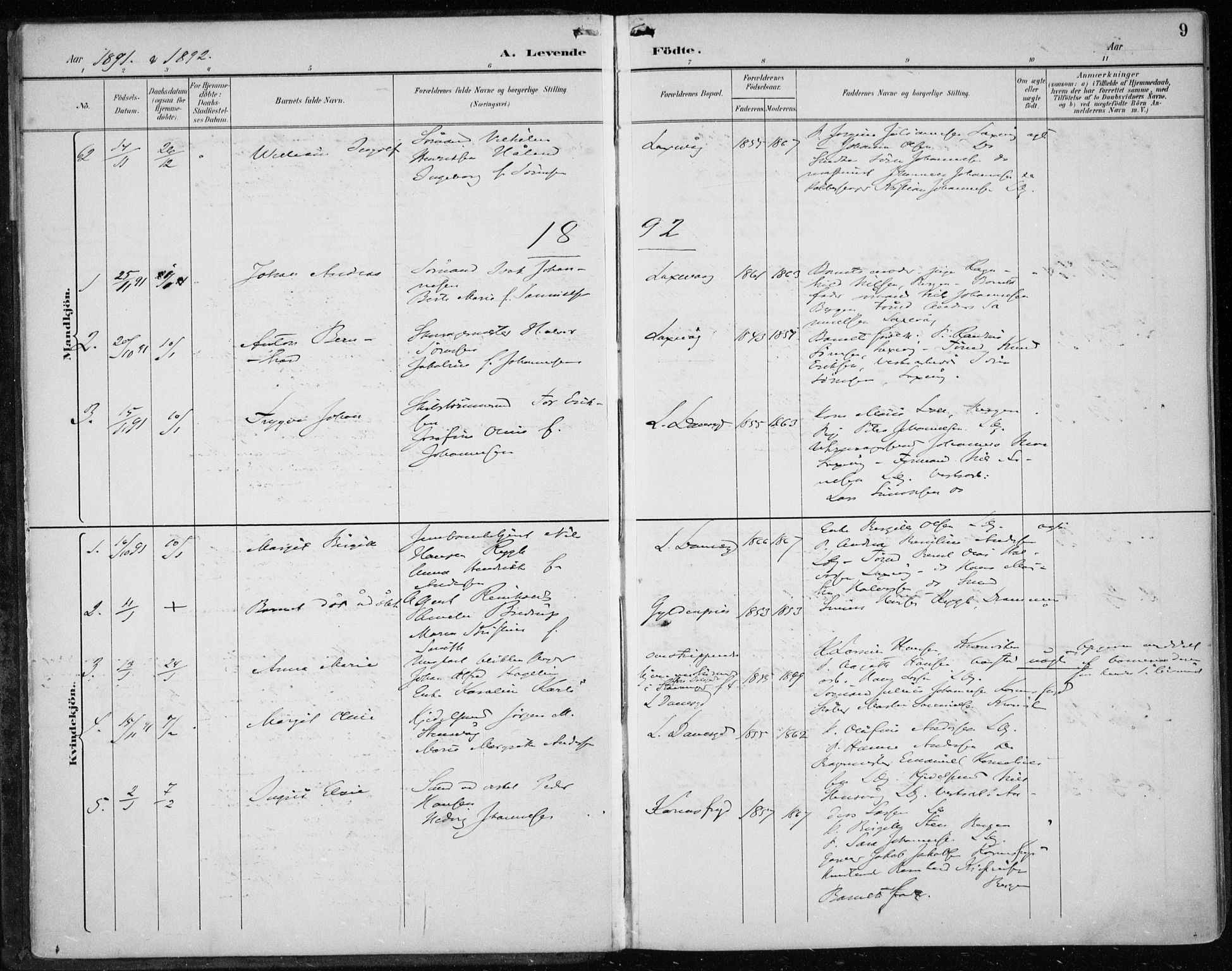 Askøy Sokneprestembete, AV/SAB-A-74101/H/Ha/Haa/Haae/L0003: Parish register (official) no. E 3, 1891-1903, p. 9