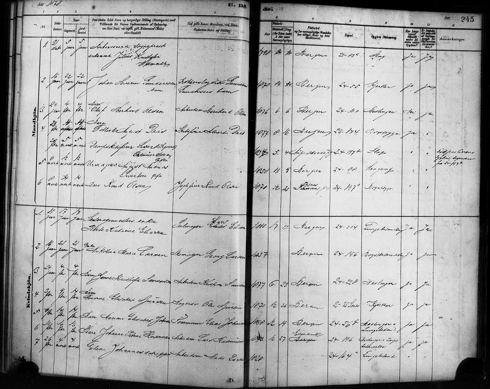 Sandviken Sokneprestembete, AV/SAB-A-77601/H/Ha/L0002: Parish register (official) no. A 2, 1878-1896, p. 245