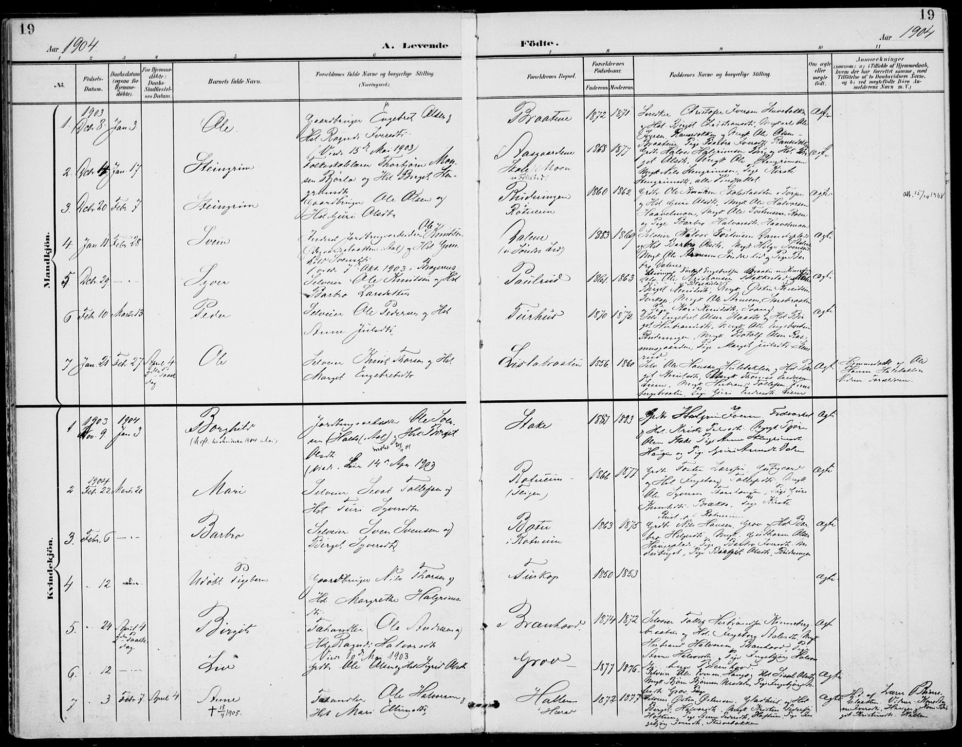 Gol kirkebøker, SAKO/A-226/F/Fa/L0006: Parish register (official) no. I 6, 1901-1918, p. 19