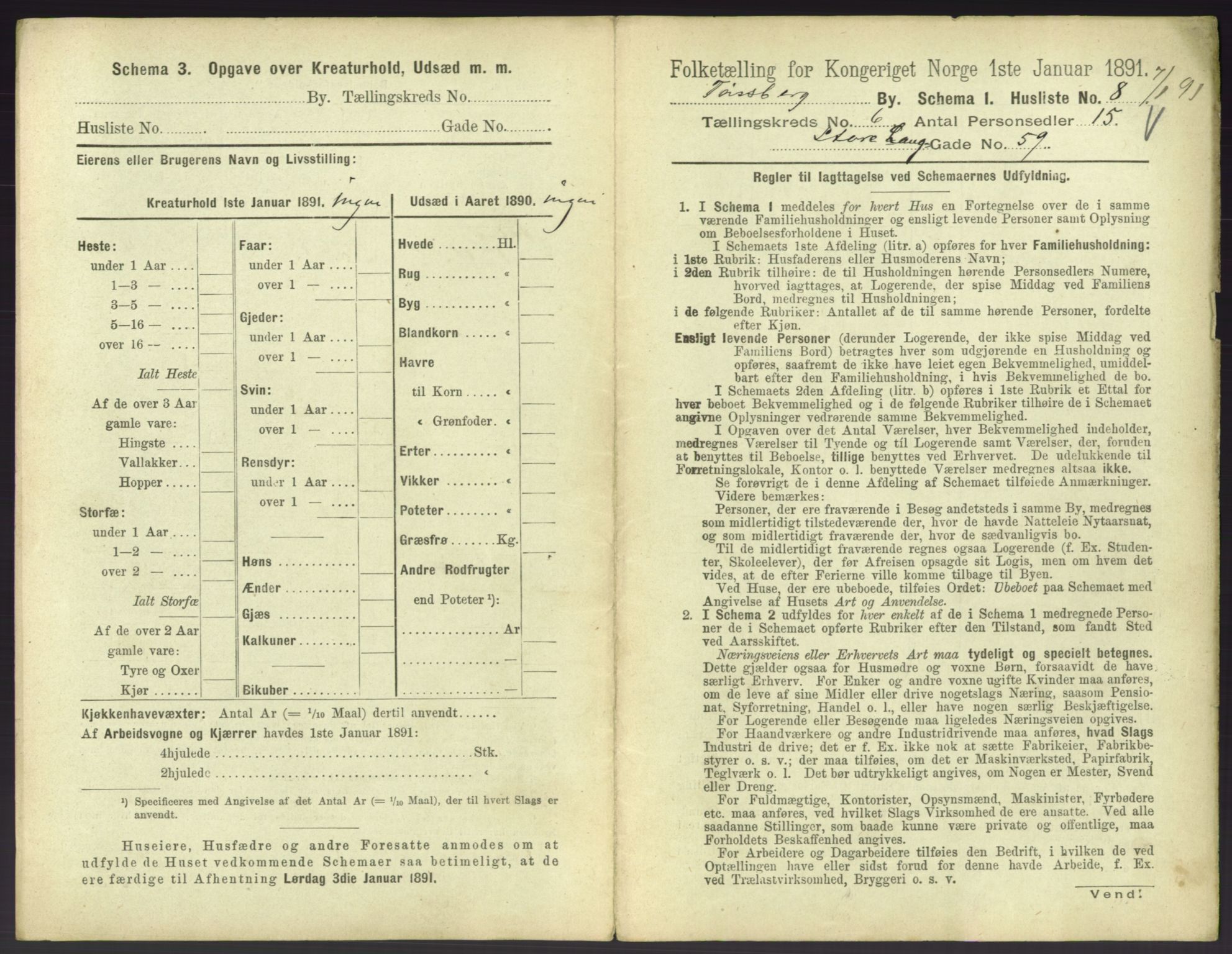 RA, 1891 census for 0705 Tønsberg, 1891, p. 258