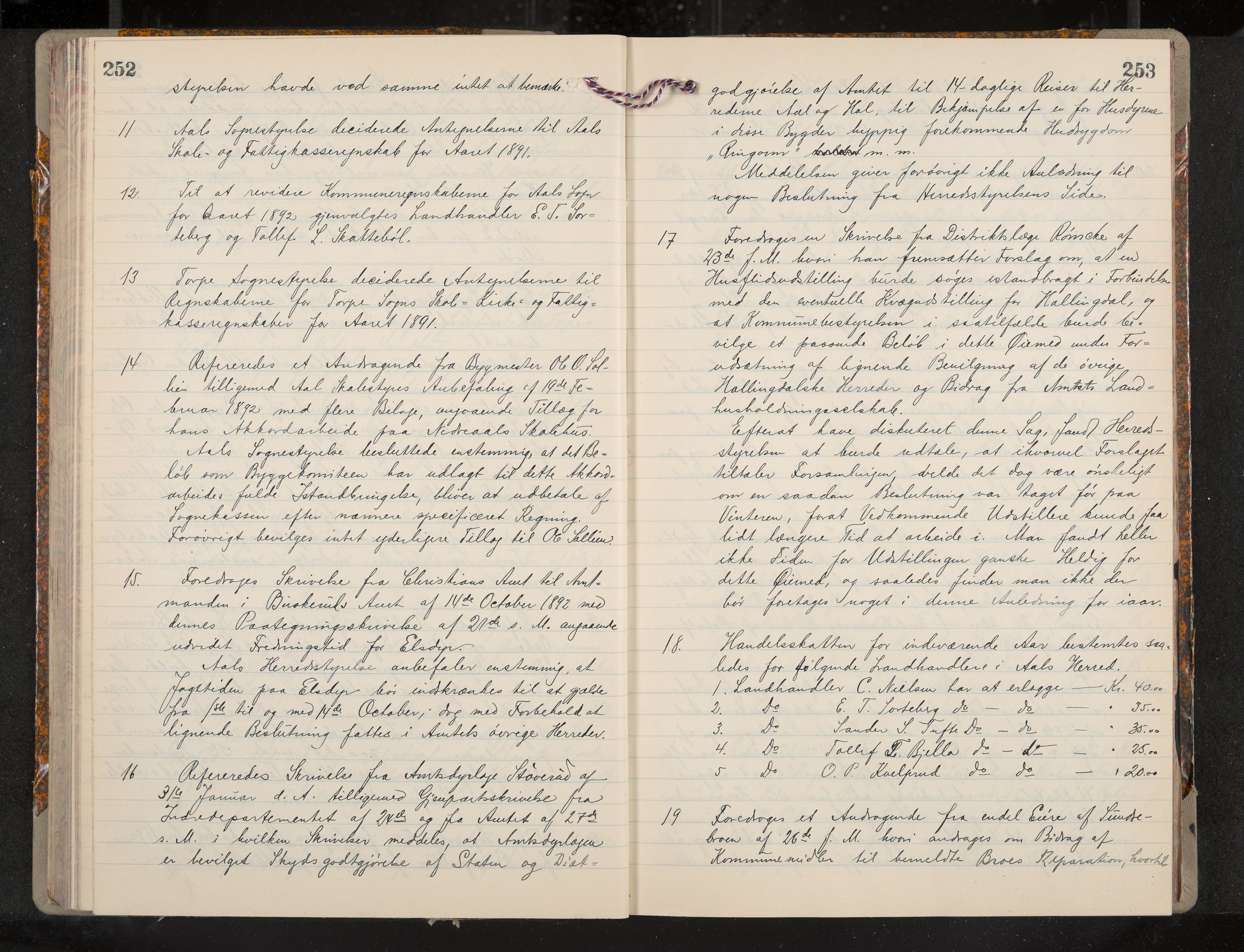 Ål formannskap og sentraladministrasjon, IKAK/0619021/A/Aa/L0004: Utskrift av møtebok, 1881-1901, p. 252-253