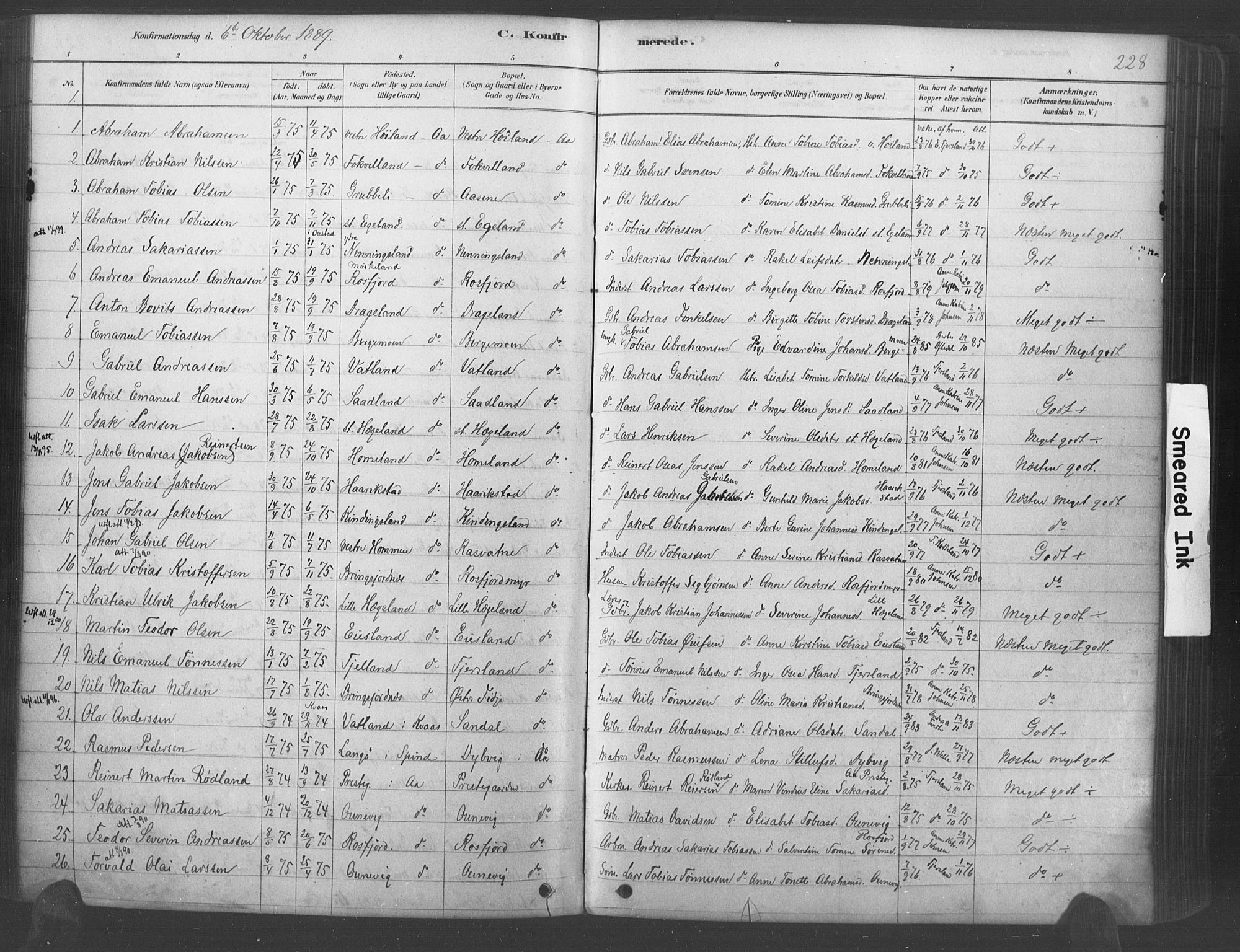 Lyngdal sokneprestkontor, AV/SAK-1111-0029/F/Fa/Fac/L0011: Parish register (official) no. A 11, 1878-1893, p. 228