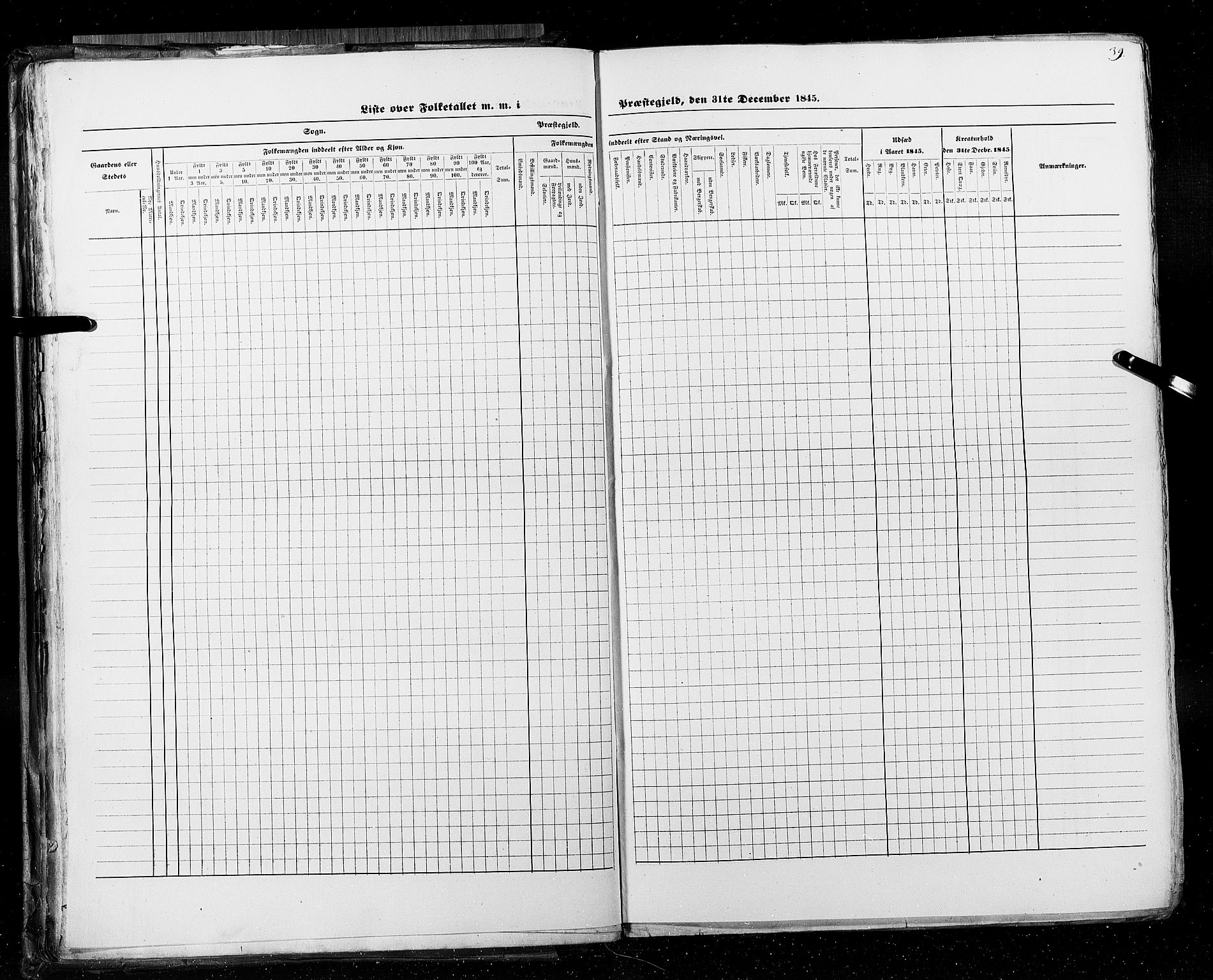 RA, Census 1845, vol. 5: Bratsberg amt og Nedenes og Råbyggelaget amt, 1845, p. 39