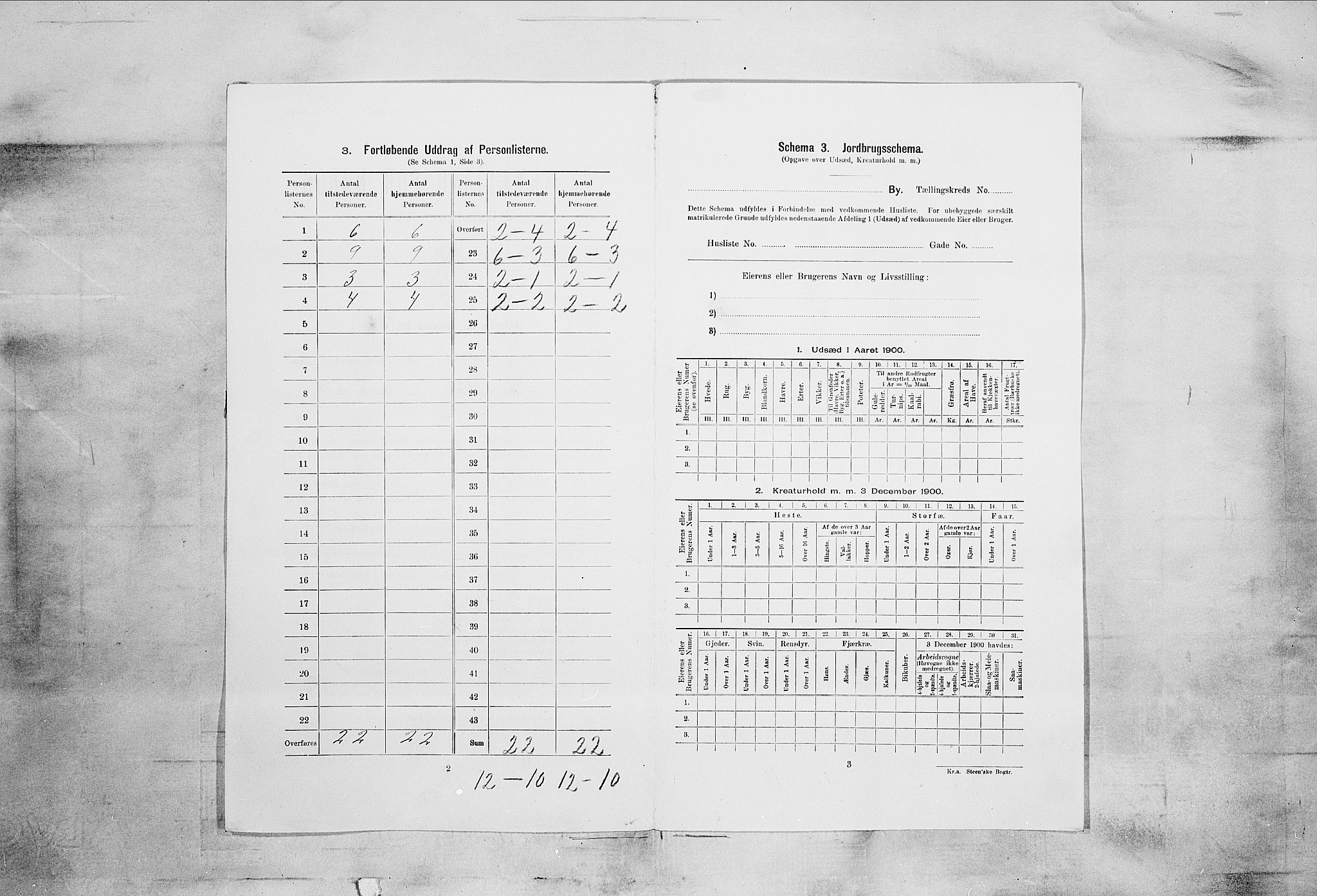 SAKO, 1900 census for Skien, 1900, p. 4798