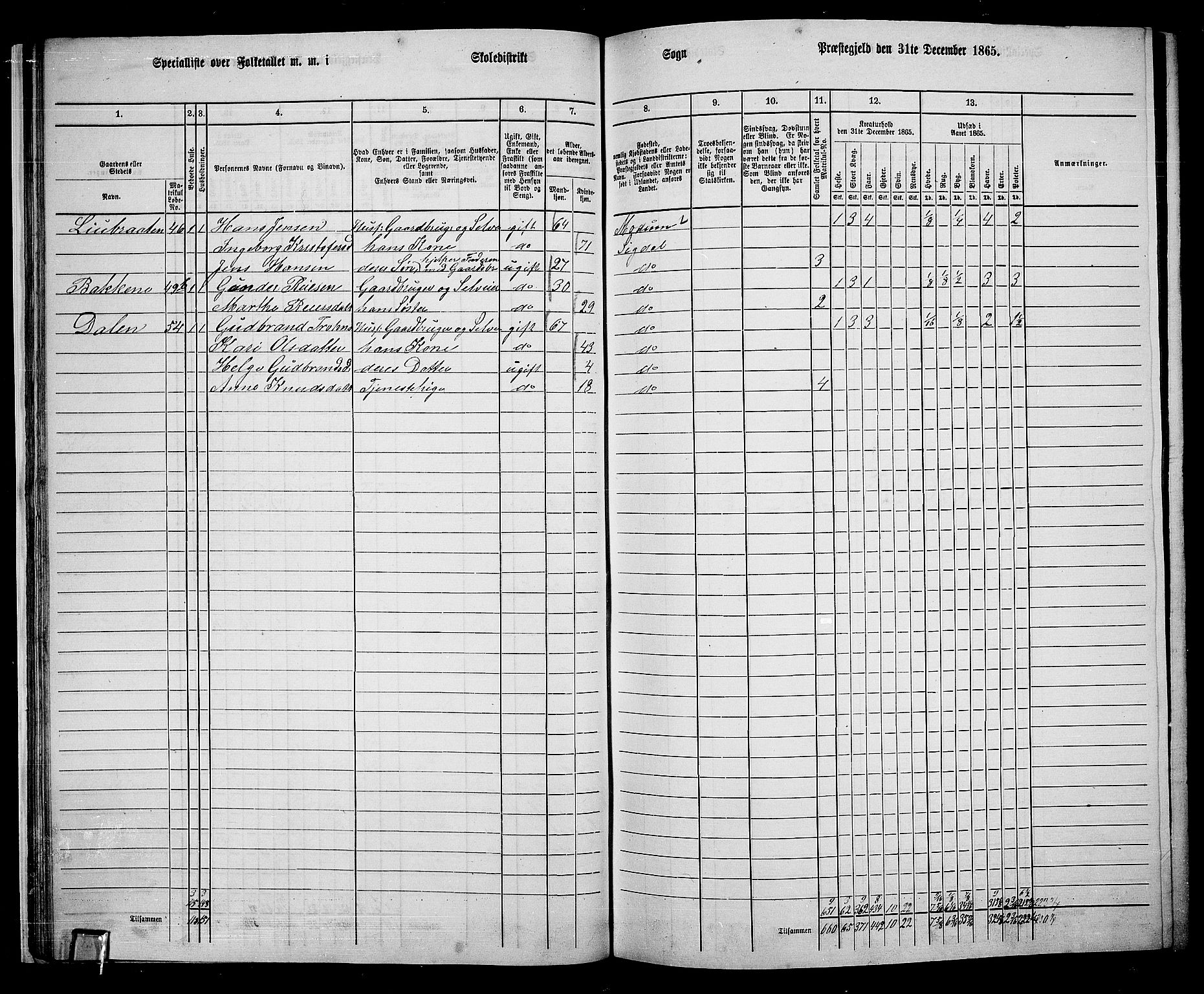 RA, 1865 census for Sigdal, 1865, p. 41