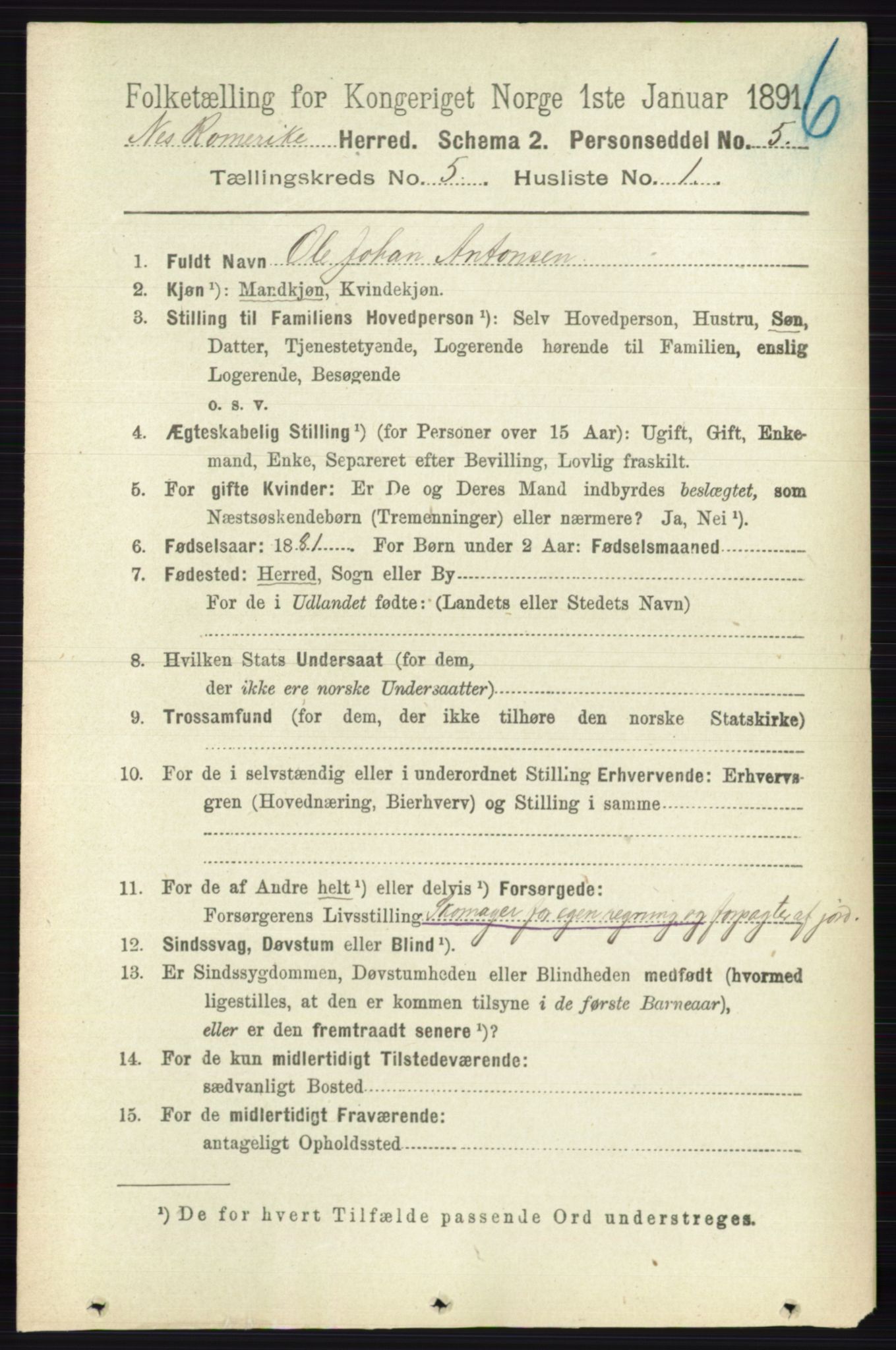 RA, 1891 census for 0236 Nes, 1891, p. 2795