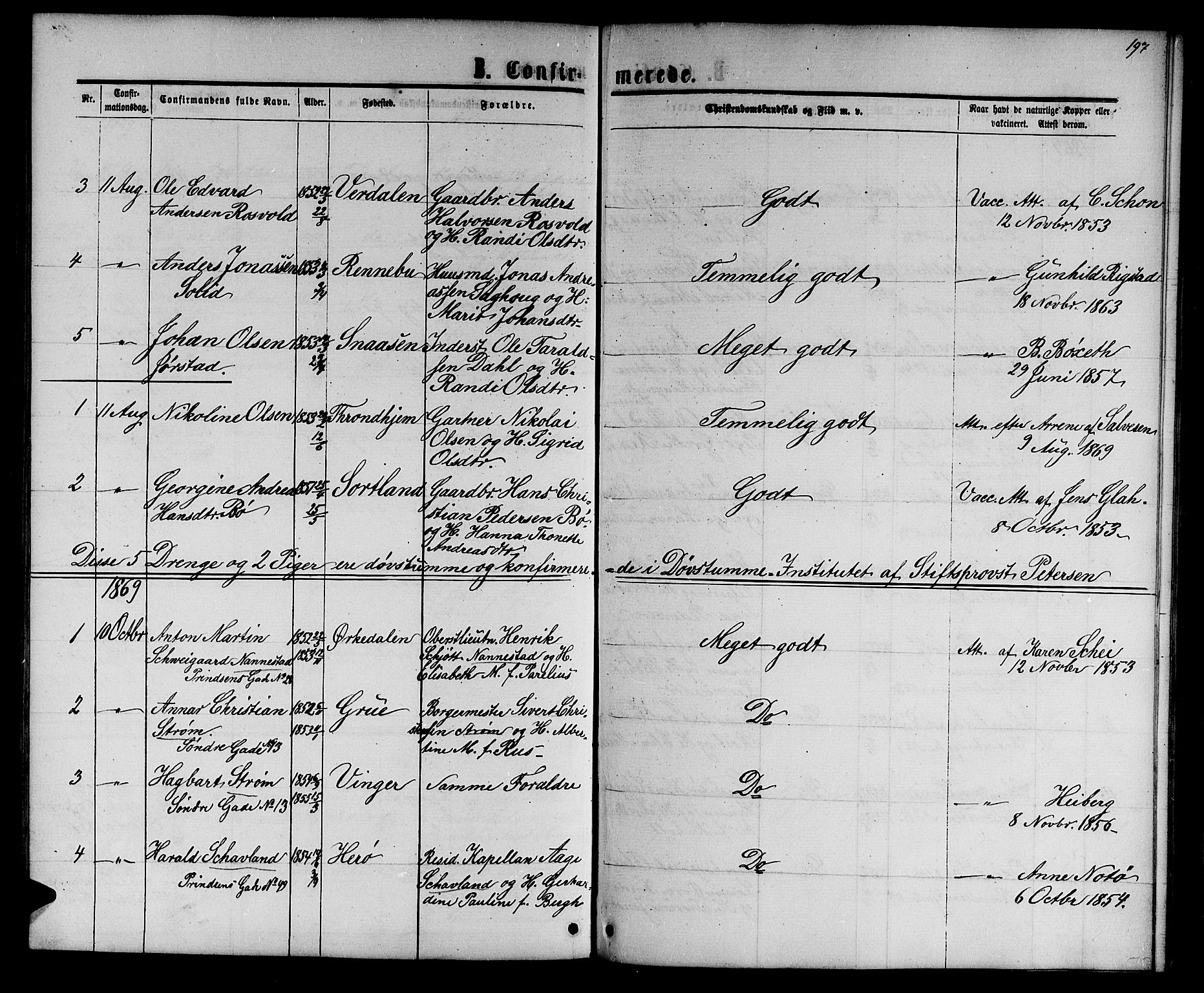 Ministerialprotokoller, klokkerbøker og fødselsregistre - Sør-Trøndelag, AV/SAT-A-1456/601/L0087: Parish register (copy) no. 601C05, 1864-1881, p. 197