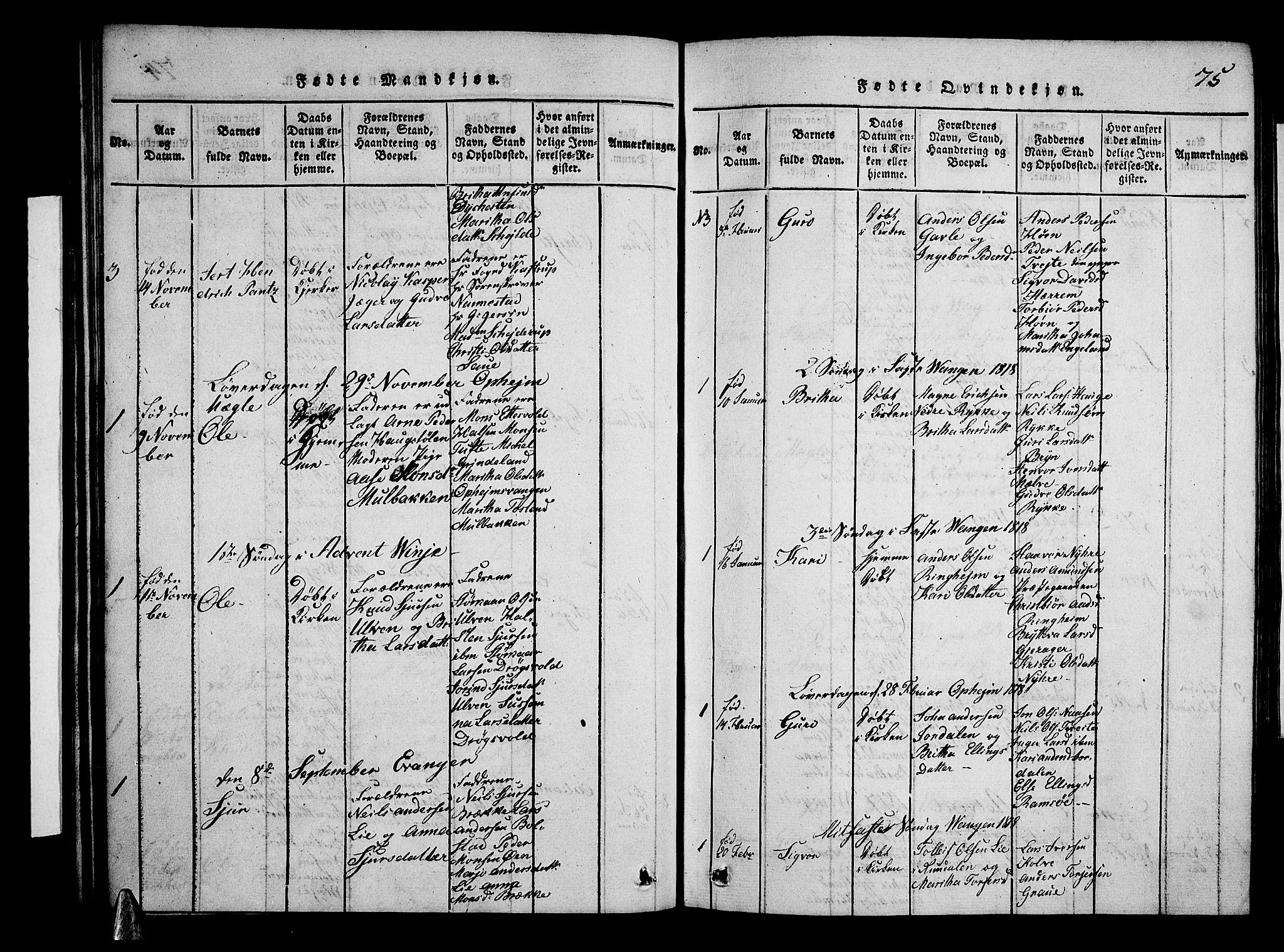 Voss sokneprestembete, AV/SAB-A-79001/H/Hab: Parish register (copy) no. A 1, 1816-1818, p. 75