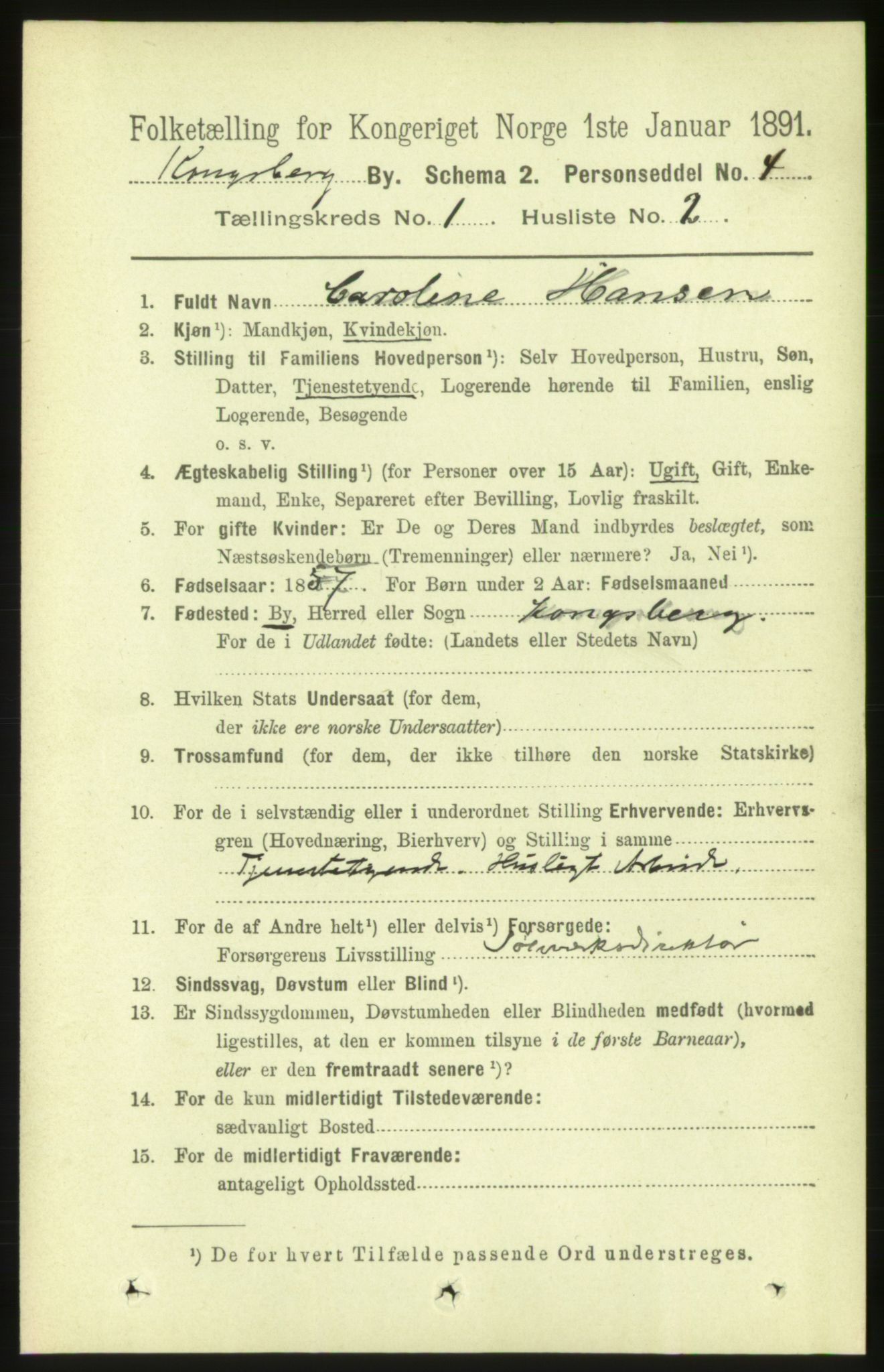 RA, 1891 census for 0604 Kongsberg, 1891, p. 1597