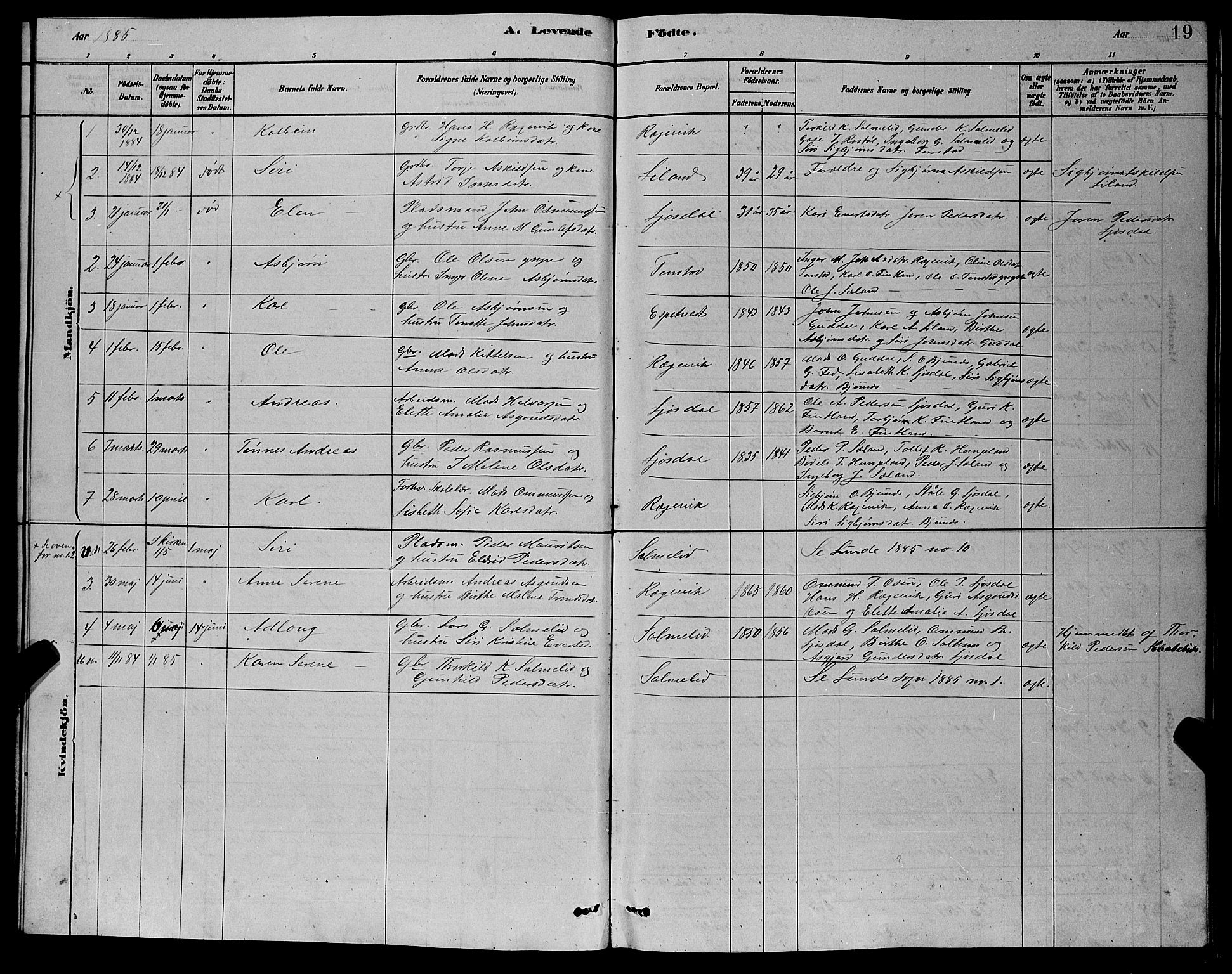 Sirdal sokneprestkontor, AV/SAK-1111-0036/F/Fb/Fbb/L0003: Parish register (copy) no. B 3, 1878-1894, p. 19