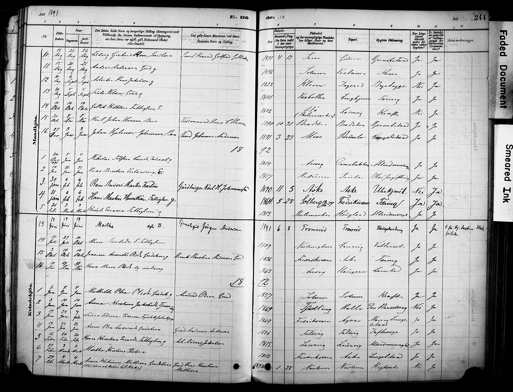 Brunlanes kirkebøker, AV/SAKO-A-342/F/Fc/L0001: Parish register (official) no. III 1, 1878-1899, p. 244