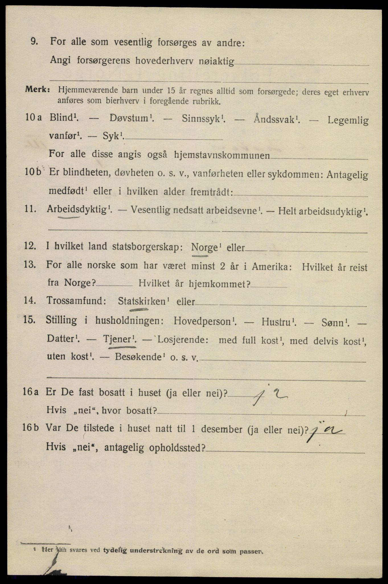 SAKO, 1920 census for Tønsberg, 1920, p. 10894