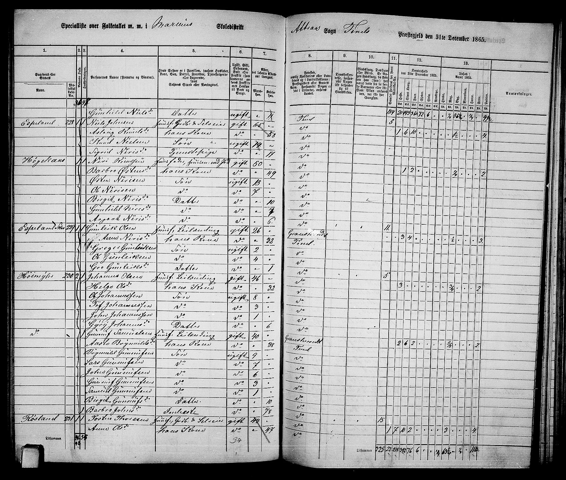 RA, 1865 census for Tinn, 1865, p. 68