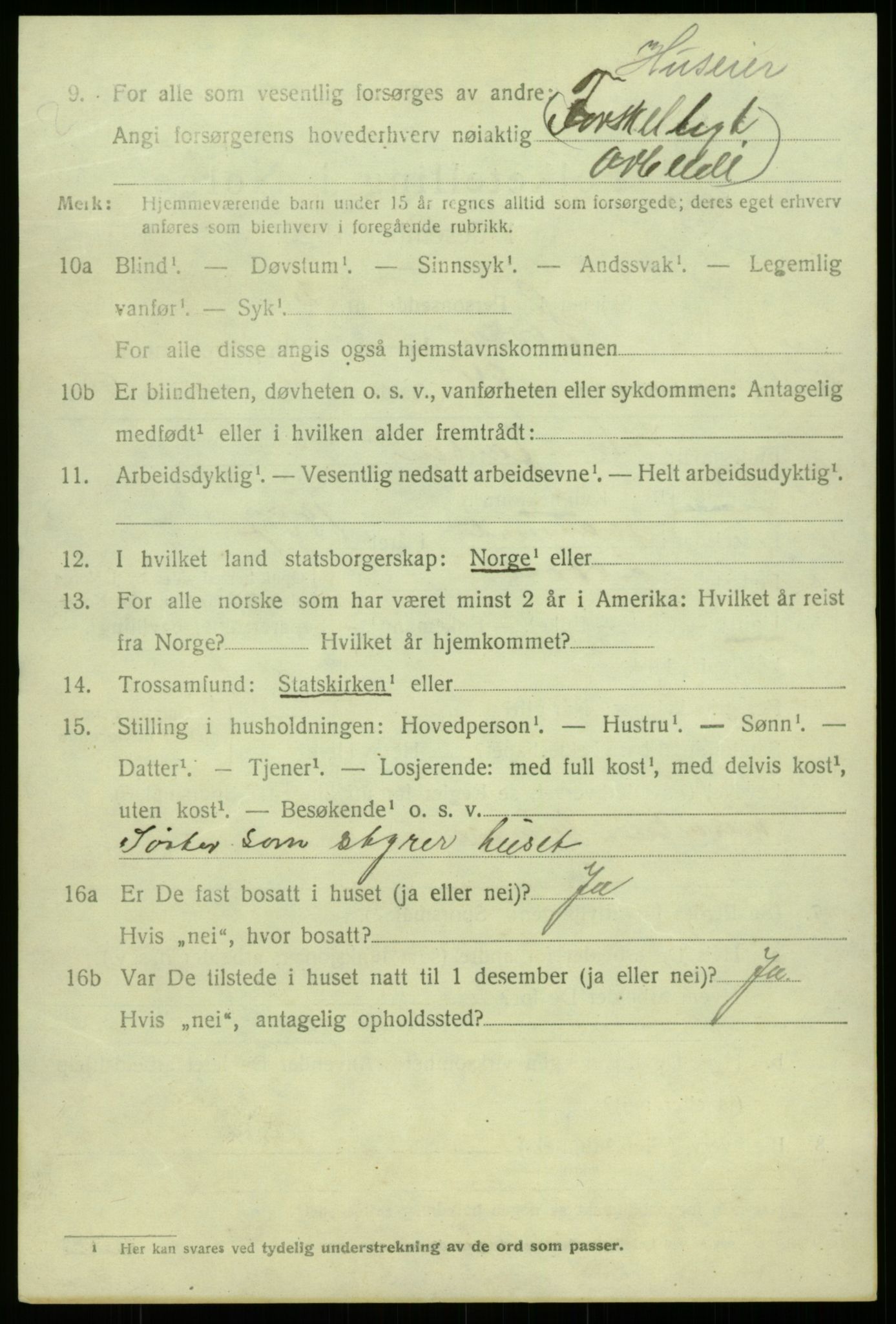 SAB, 1920 census for Lærdal, 1920, p. 3943