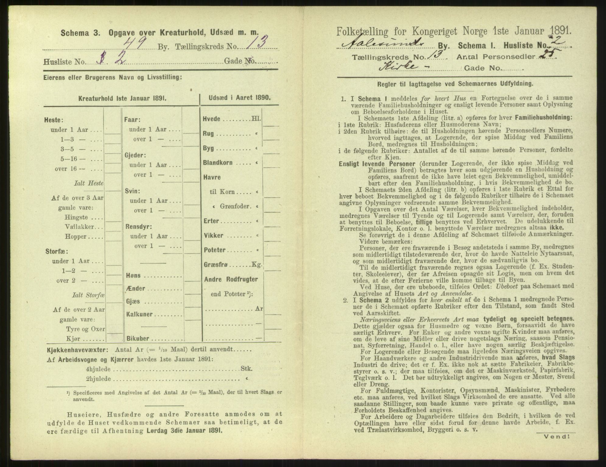 RA, 1891 census for 1501 Ålesund, 1891, p. 916