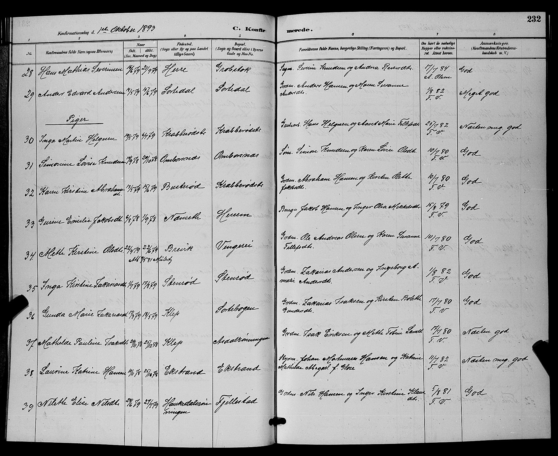 Bamble kirkebøker, AV/SAKO-A-253/G/Ga/L0009: Parish register (copy) no. I 9, 1888-1900, p. 232