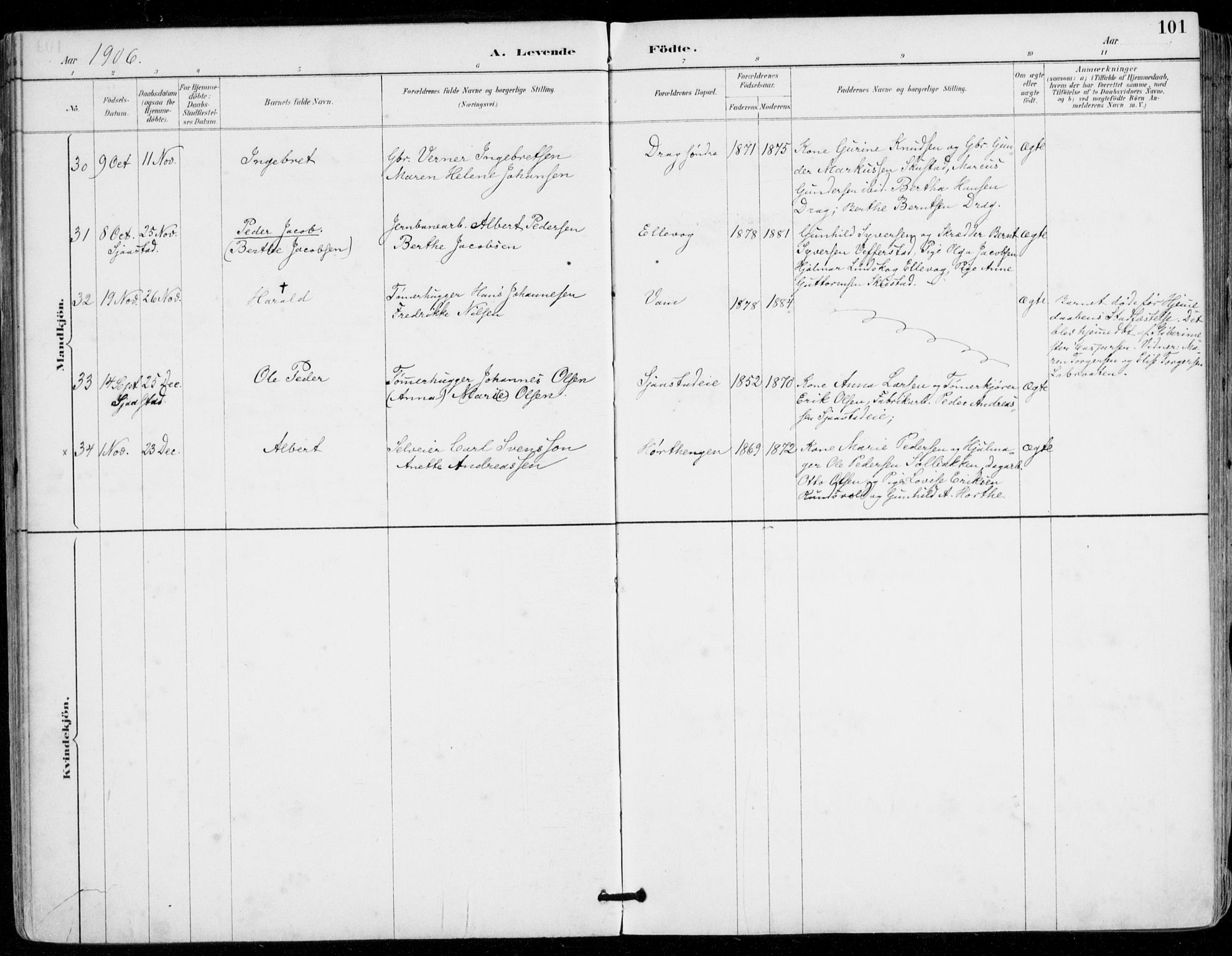 Sylling kirkebøker, AV/SAKO-A-247/F/Fa/L0001: Parish register (official) no. 1, 1883-1910, p. 101