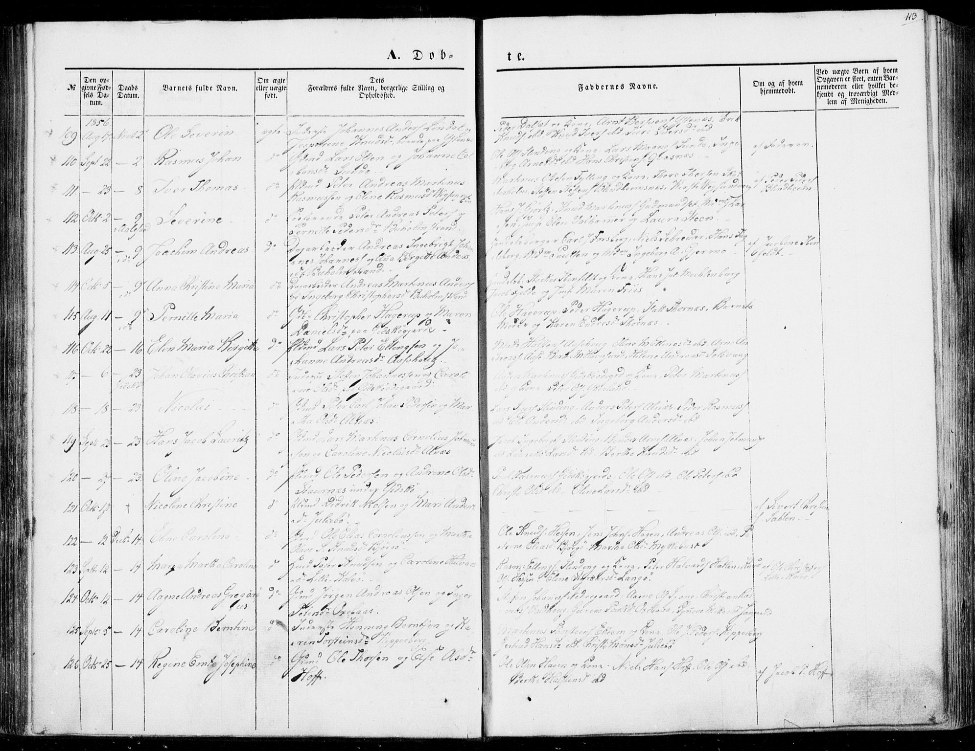 Ministerialprotokoller, klokkerbøker og fødselsregistre - Møre og Romsdal, AV/SAT-A-1454/528/L0397: Parish register (official) no. 528A08, 1848-1858, p. 113