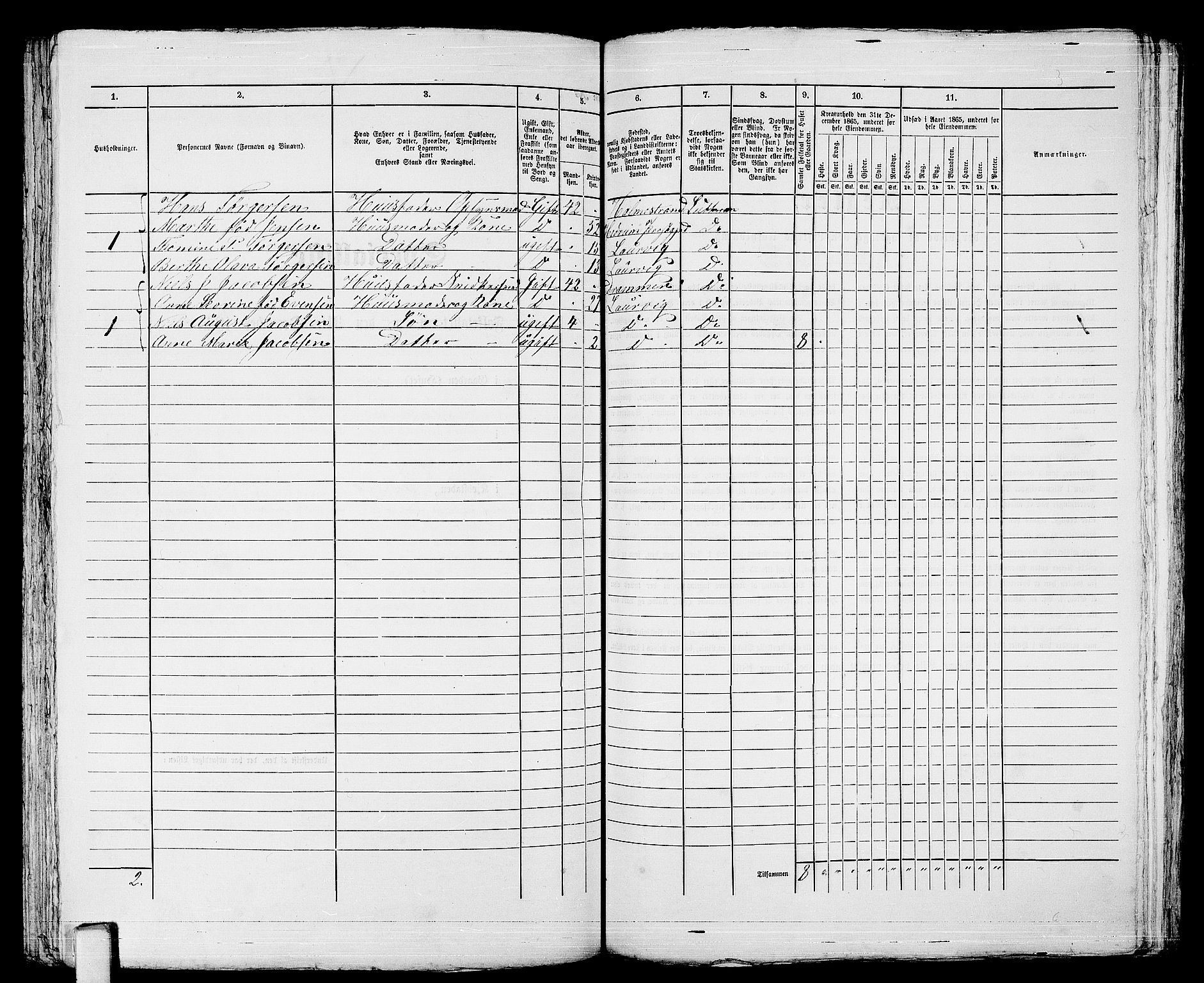 RA, 1865 census for Larvik, 1865, p. 332