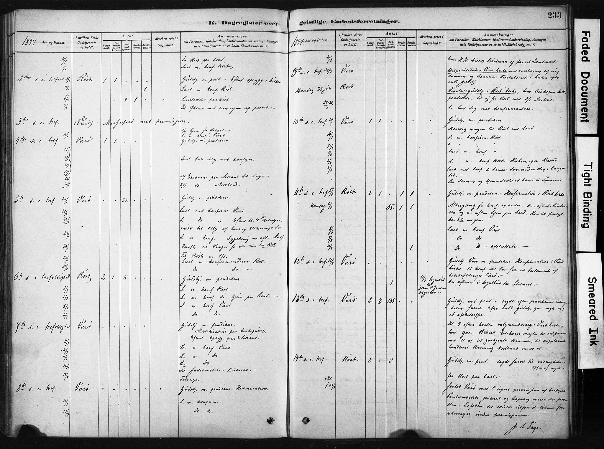 Ministerialprotokoller, klokkerbøker og fødselsregistre - Nordland, AV/SAT-A-1459/808/L0128: Parish register (official) no. 808A01, 1880-1902, p. 233