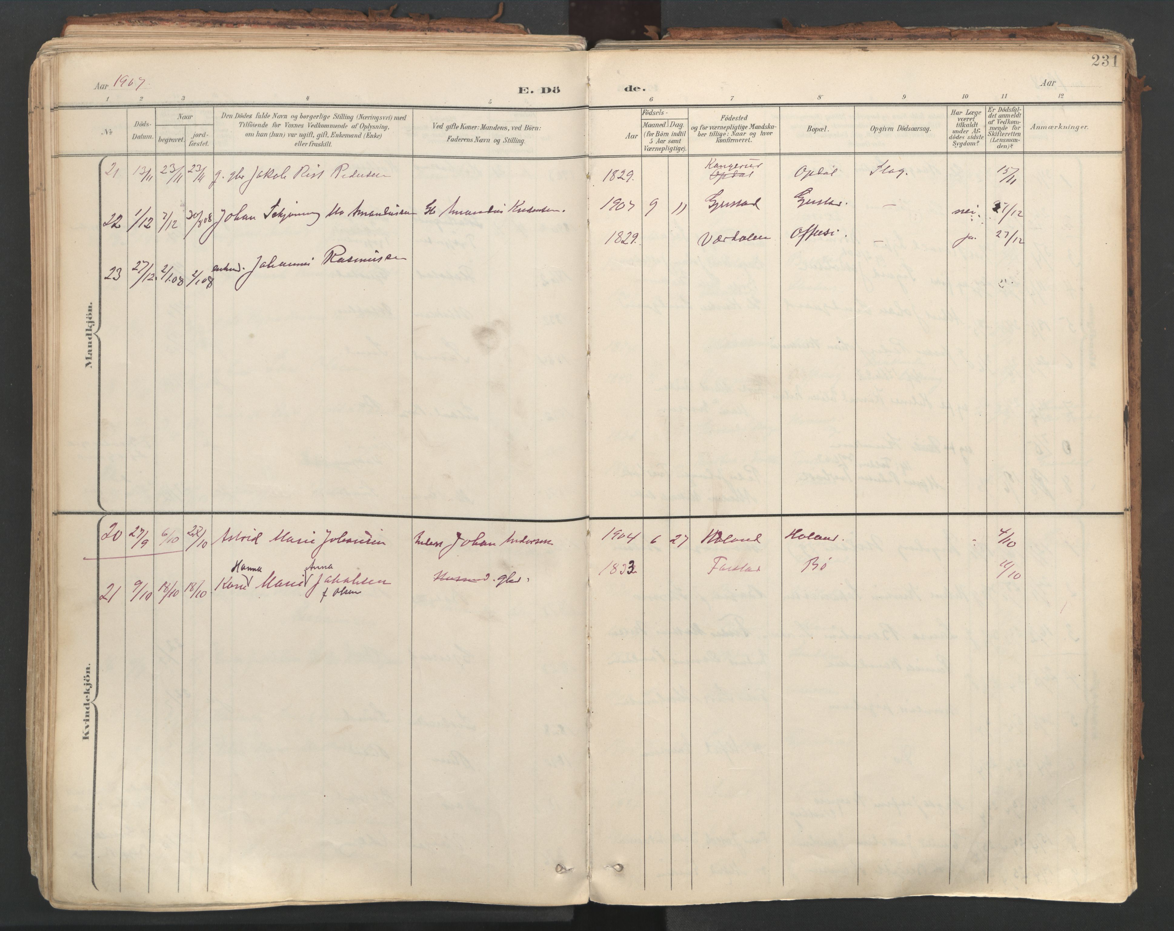 Ministerialprotokoller, klokkerbøker og fødselsregistre - Nordland, AV/SAT-A-1459/881/L1154: Parish register (official) no. 881A07, 1907-1918, p. 231