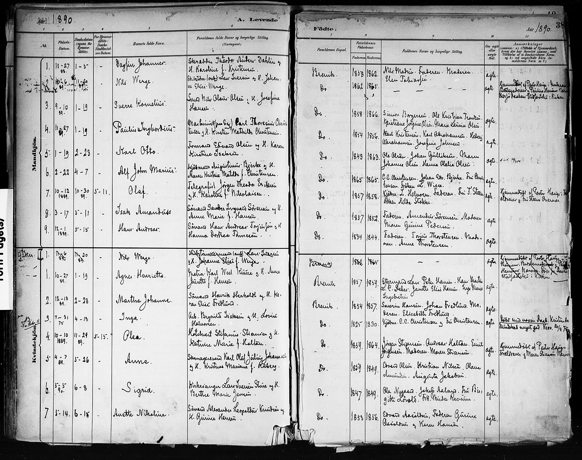 Brevik kirkebøker, SAKO/A-255/F/Fa/L0007: Parish register (official) no. 7, 1882-1900, p. 38