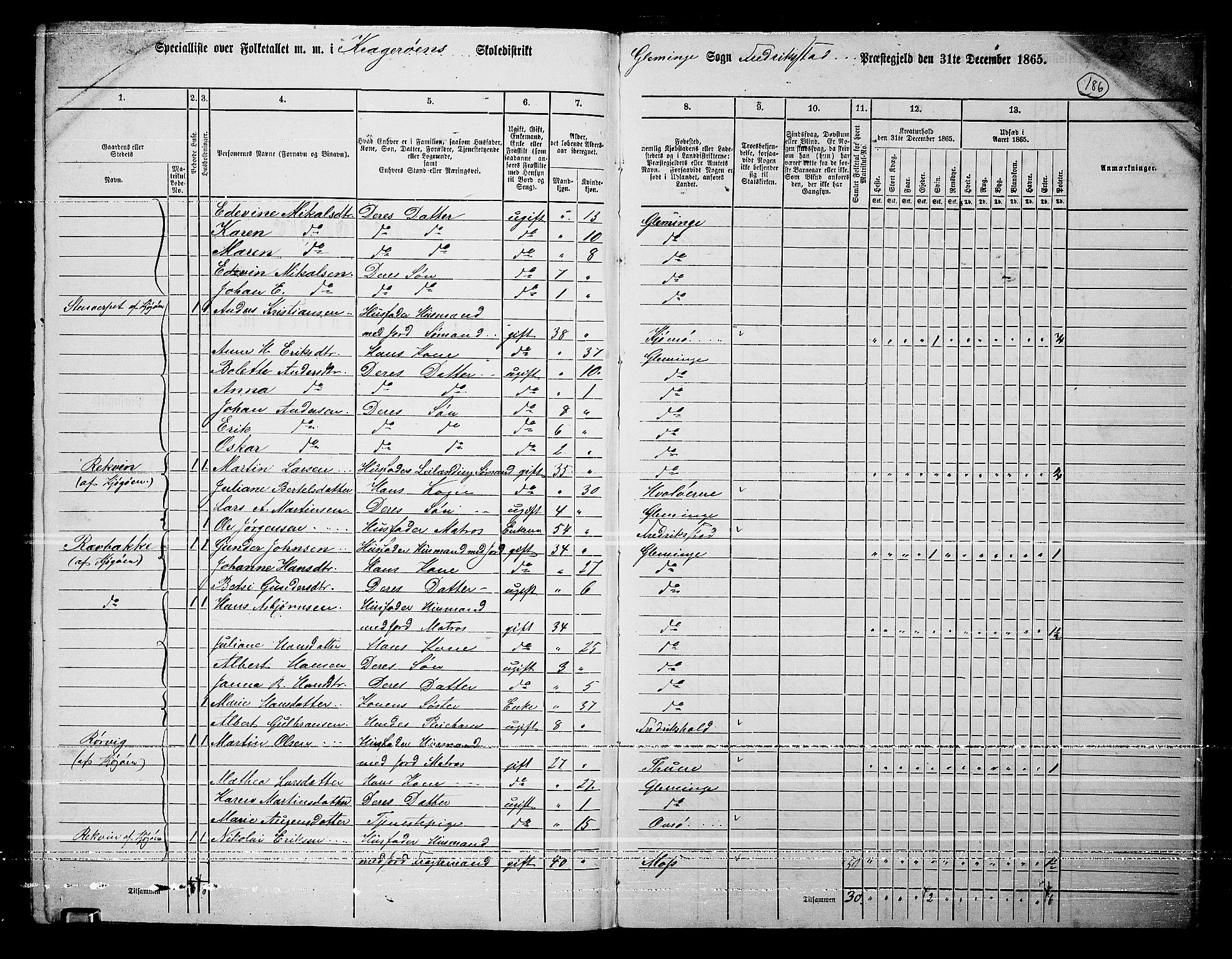 RA, 1865 census for Fredrikstad/Glemmen, 1865, p. 175