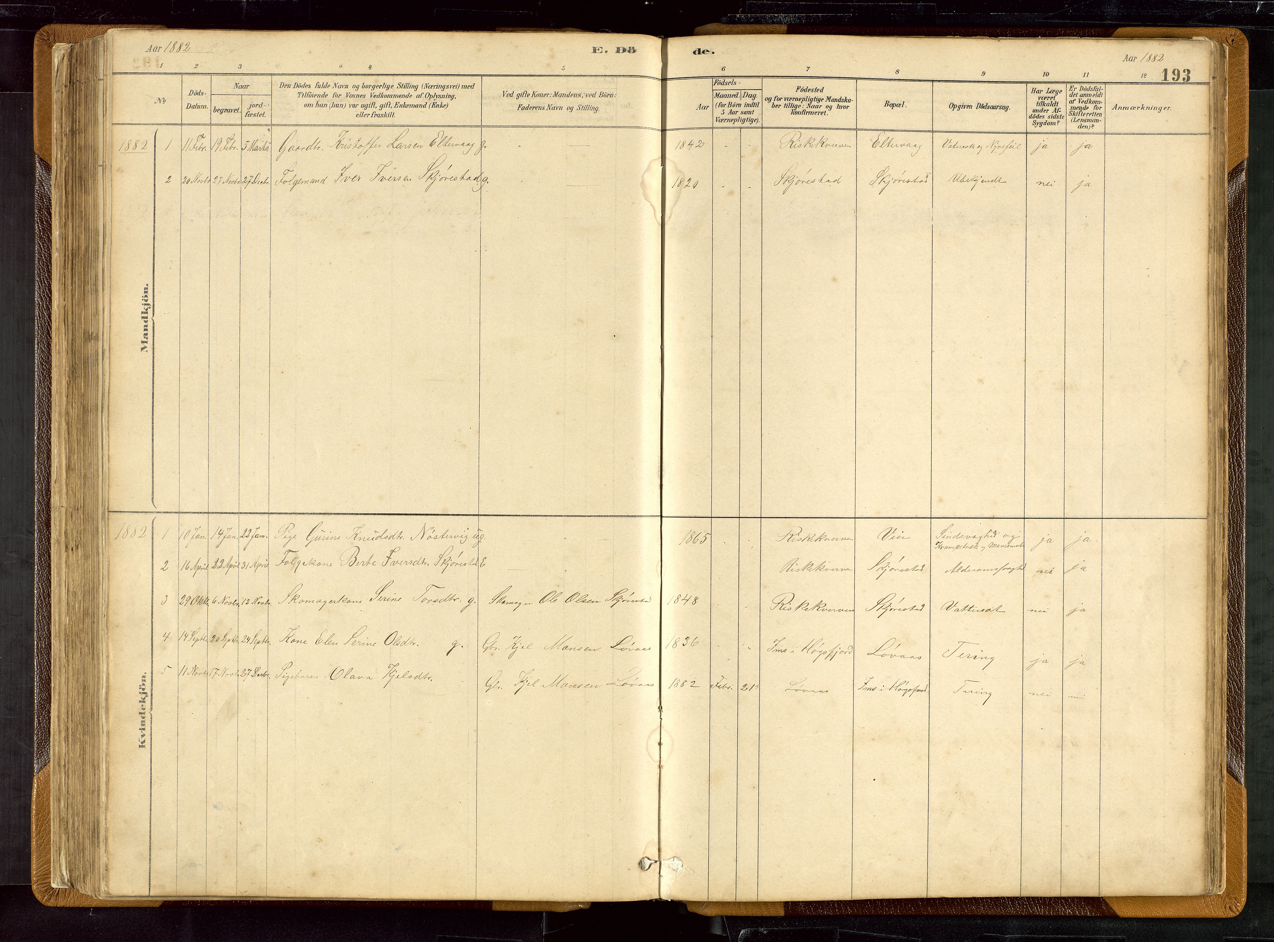 Hetland sokneprestkontor, SAST/A-101826/30/30BB/L0007: Parish register (copy) no. B 7, 1878-1910, p. 193