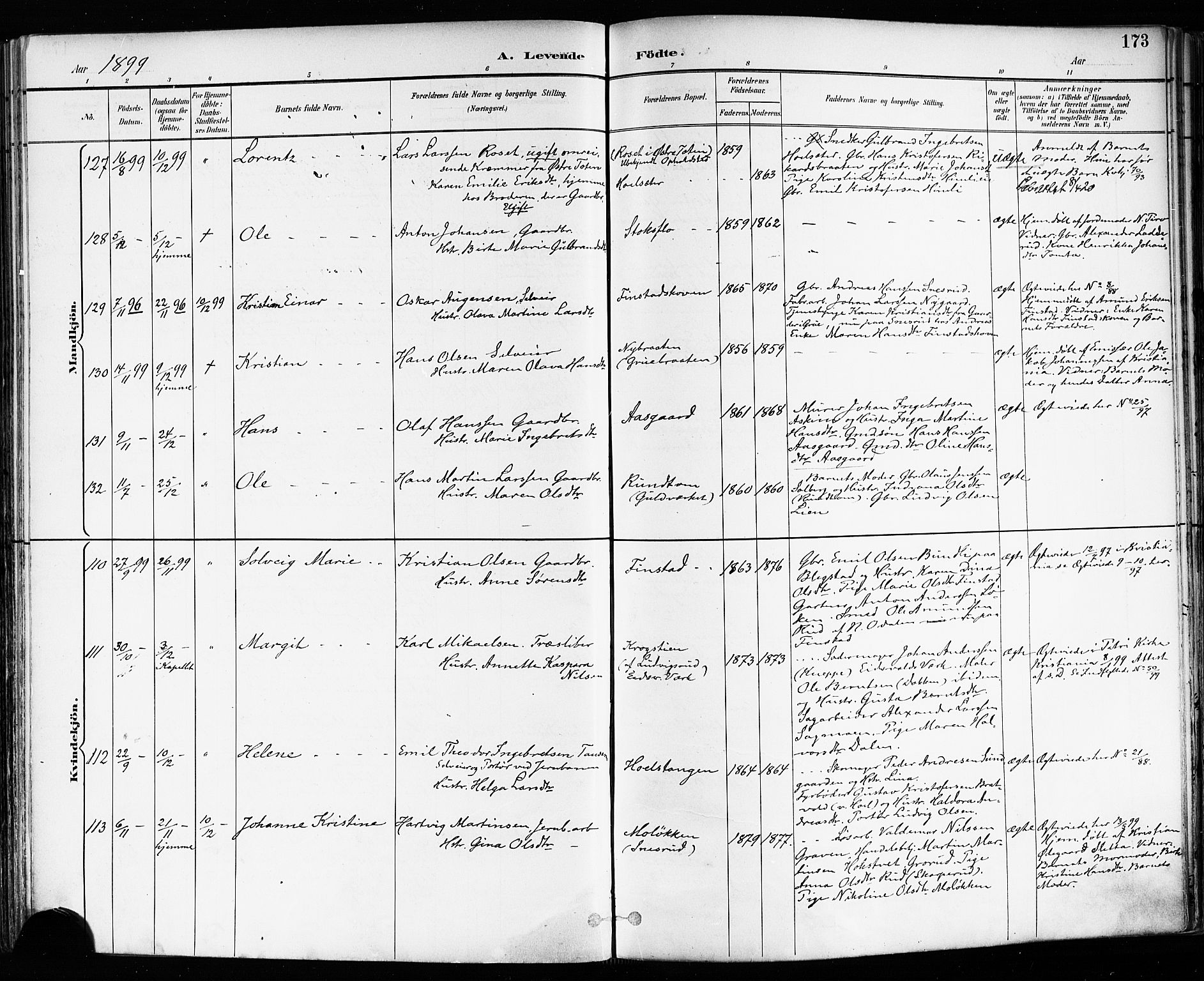 Eidsvoll prestekontor Kirkebøker, AV/SAO-A-10888/F/Fa/L0004: Parish register (official) no. I 4, 1891-1900, p. 173