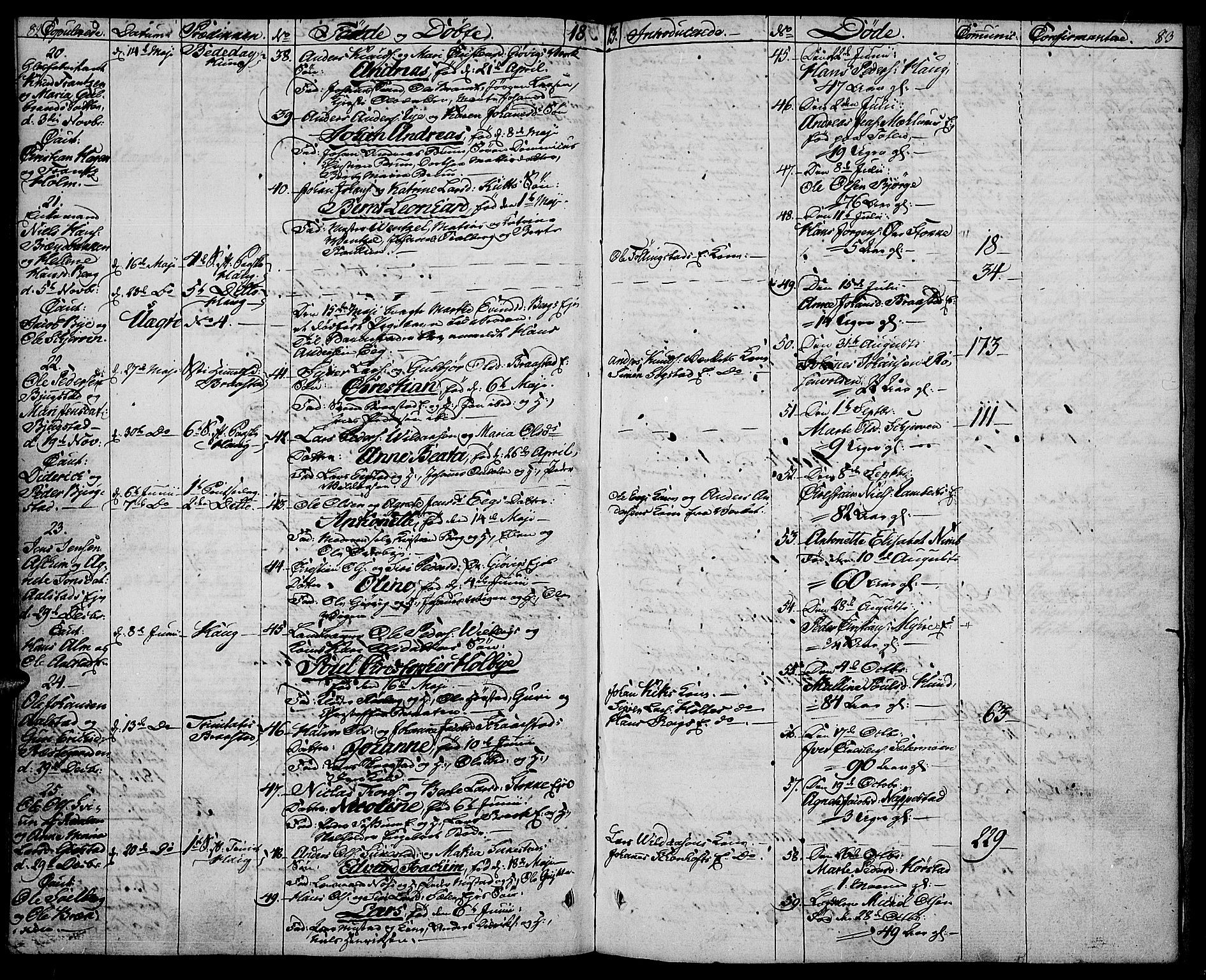 Vardal prestekontor, AV/SAH-PREST-100/H/Ha/Haa/L0003: Parish register (official) no. 3, 1808-1814, p. 82-83