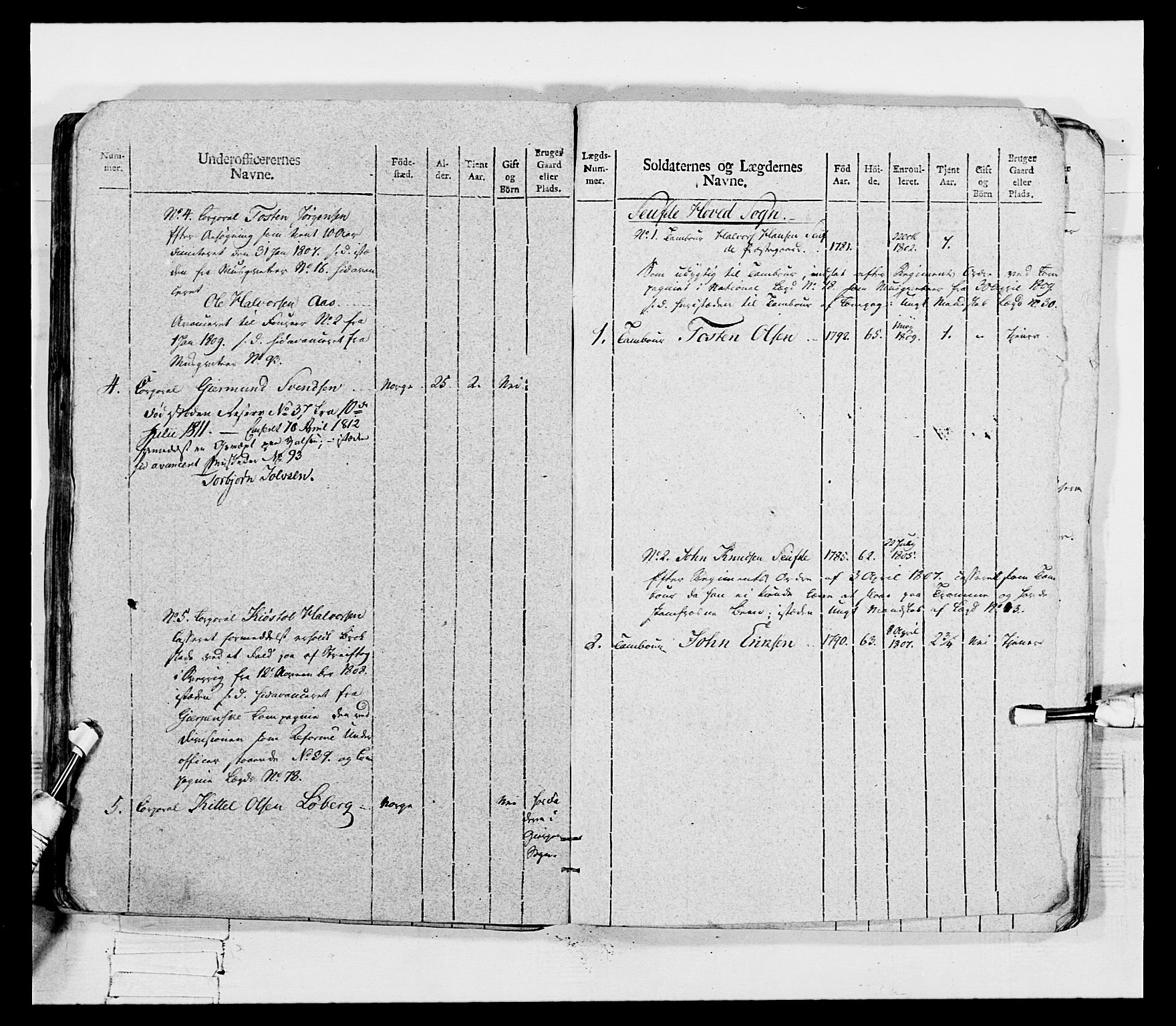 Generalitets- og kommissariatskollegiet, Det kongelige norske kommissariatskollegium, AV/RA-EA-5420/E/Eh/L0116: Telemarkske nasjonale infanteriregiment, 1810, p. 359