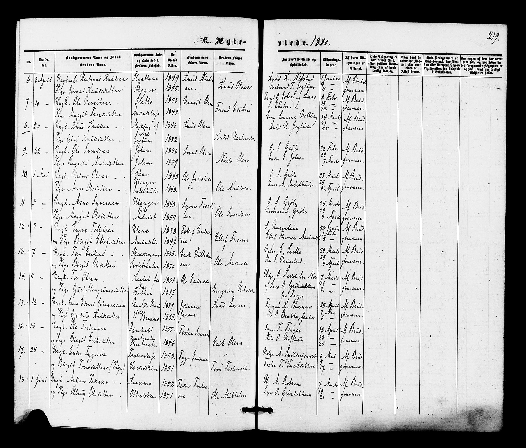 Gol kirkebøker, SAKO/A-226/F/Fa/L0004: Parish register (official) no. I 4, 1876-1886, p. 219