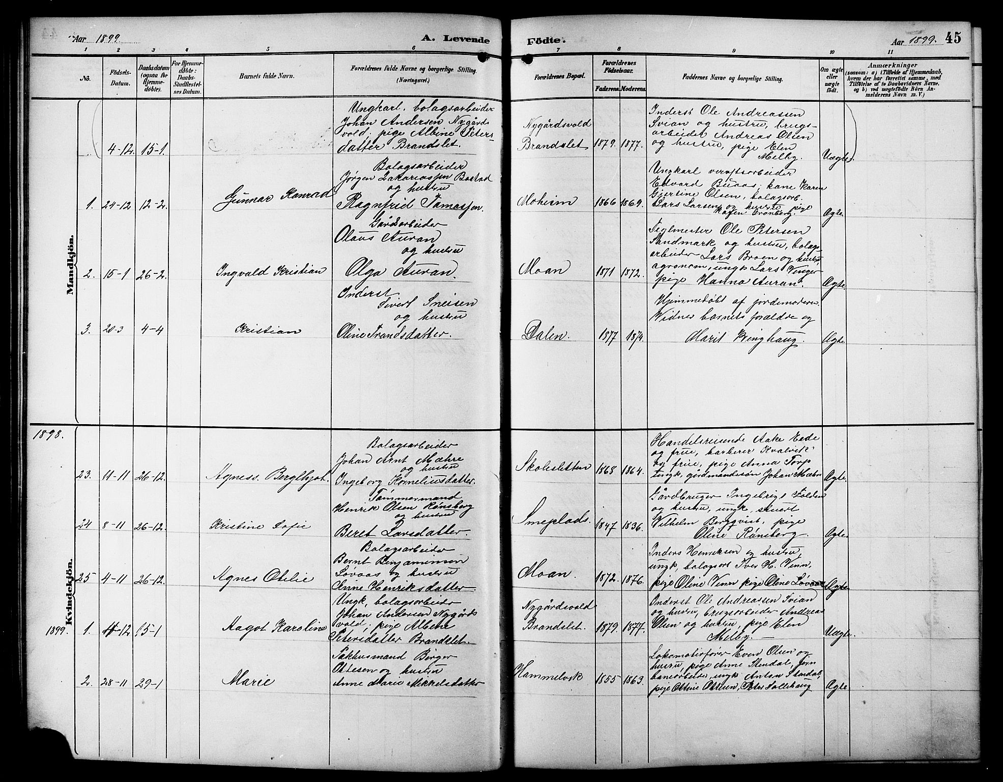 Ministerialprotokoller, klokkerbøker og fødselsregistre - Sør-Trøndelag, SAT/A-1456/617/L0431: Parish register (copy) no. 617C01, 1889-1910, p. 45