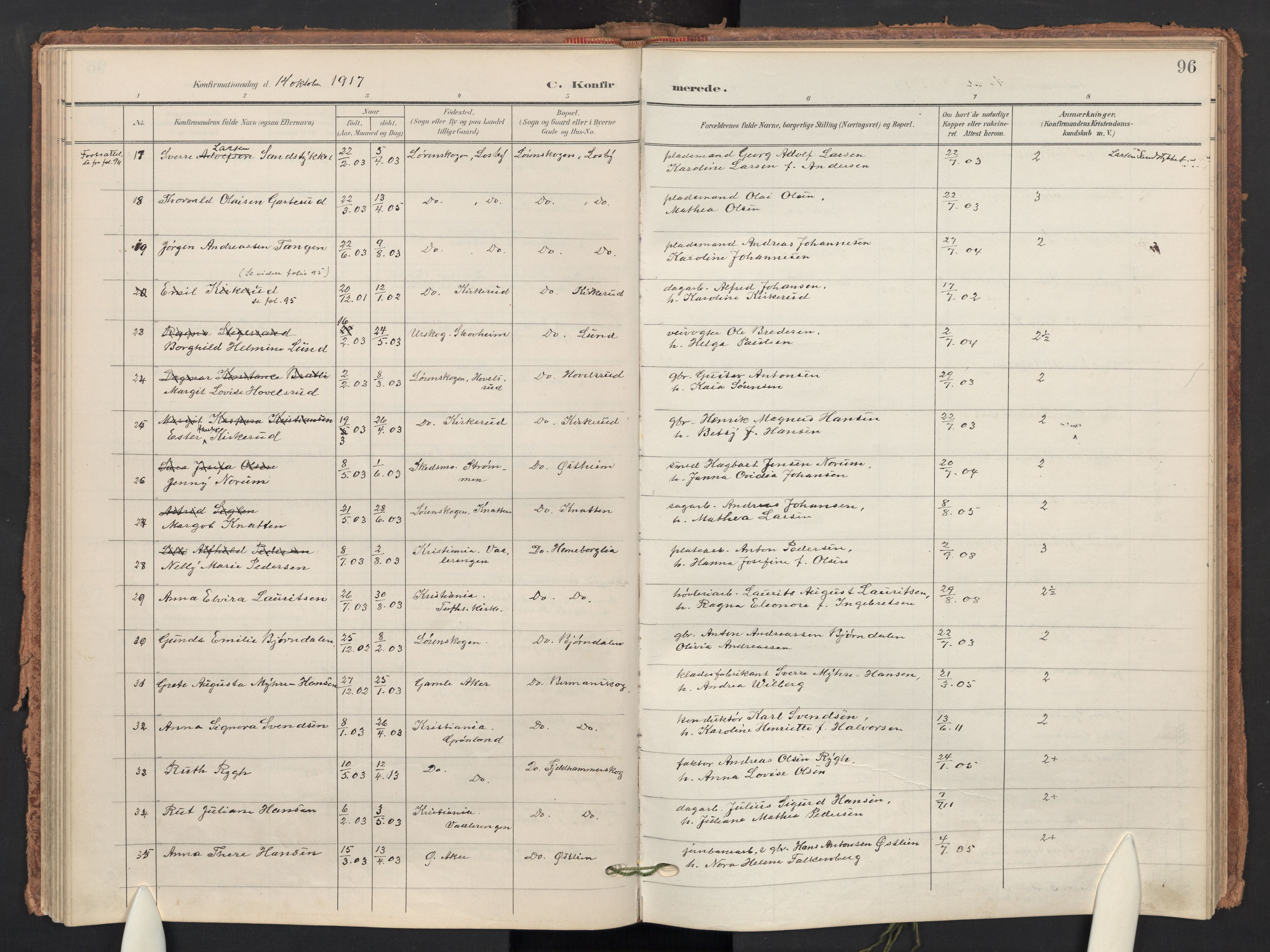 Skedsmo prestekontor Kirkebøker, AV/SAO-A-10033a/F/Fb/L0002: Parish register (official) no. II 2, 1902-1921, p. 96